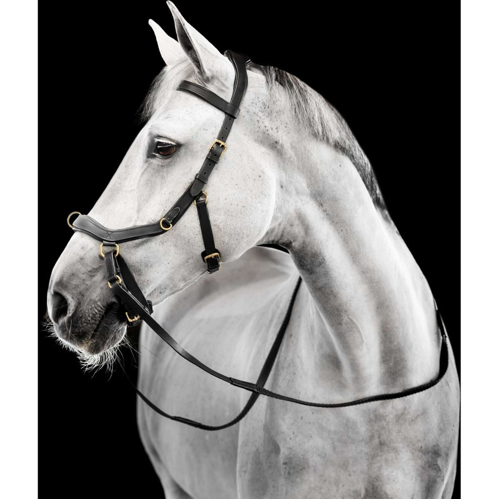 Horseware Micklem Multi Bridle Noir