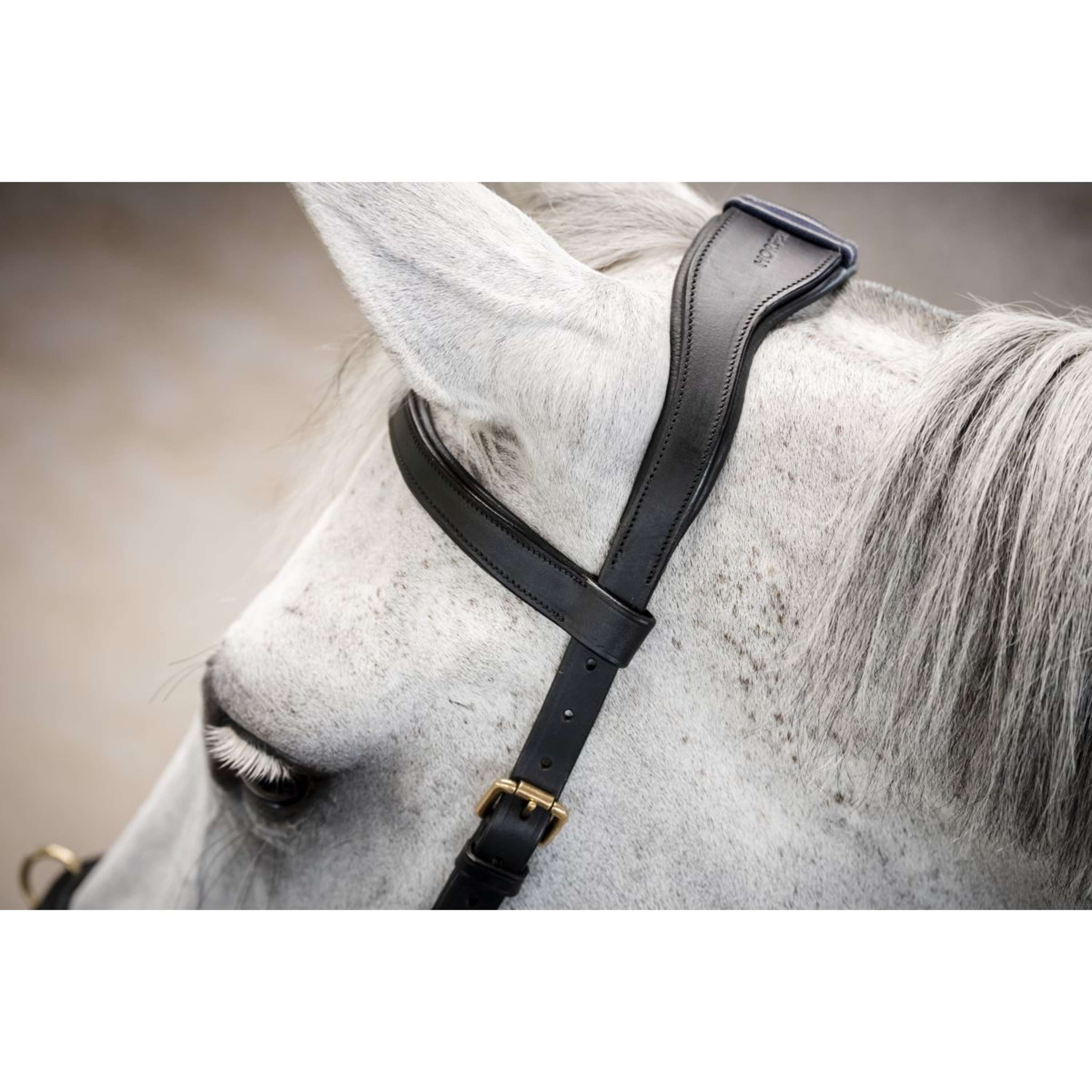 Horseware Micklem Multi Bridle Noir