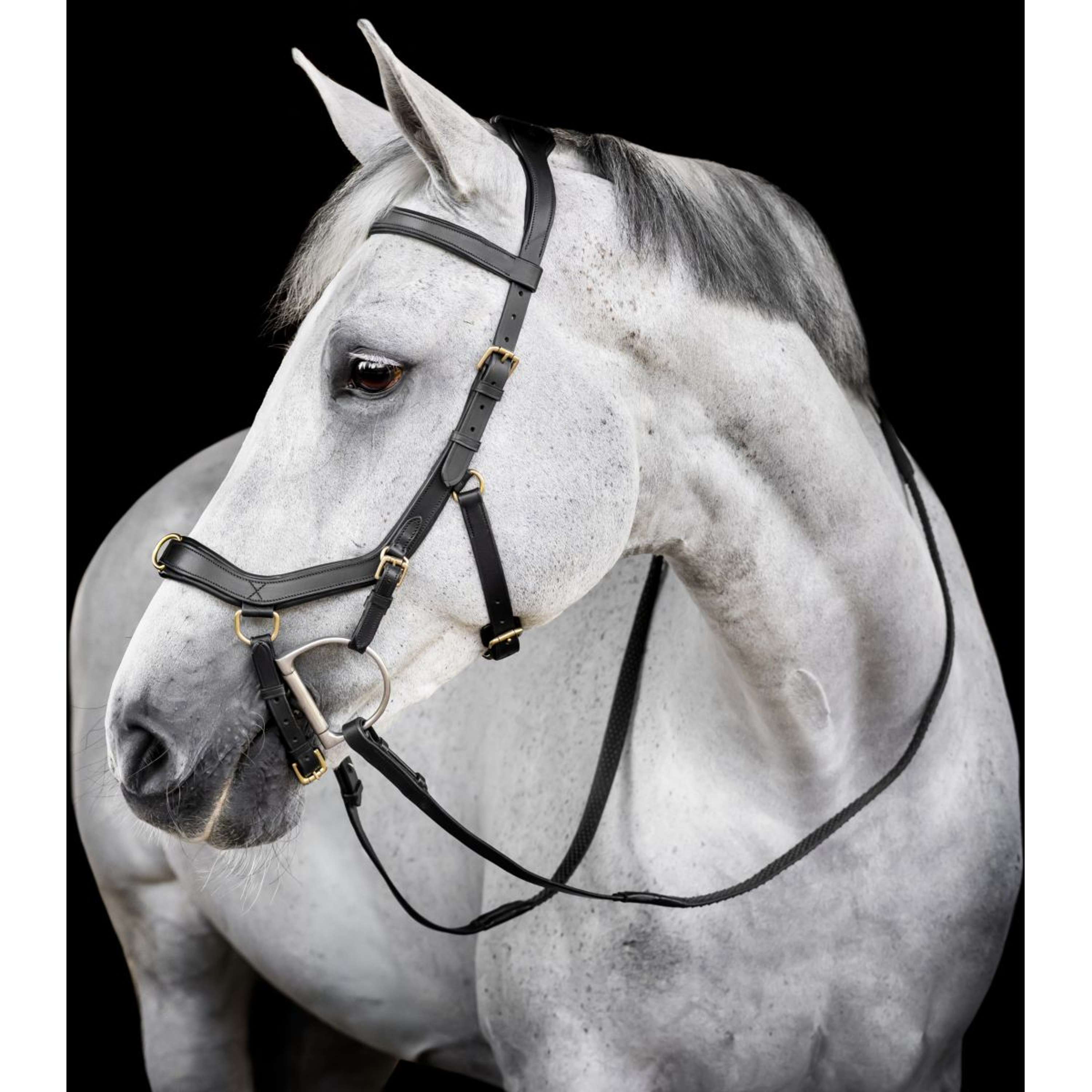 Horseware Micklem Multi Bridle Noir