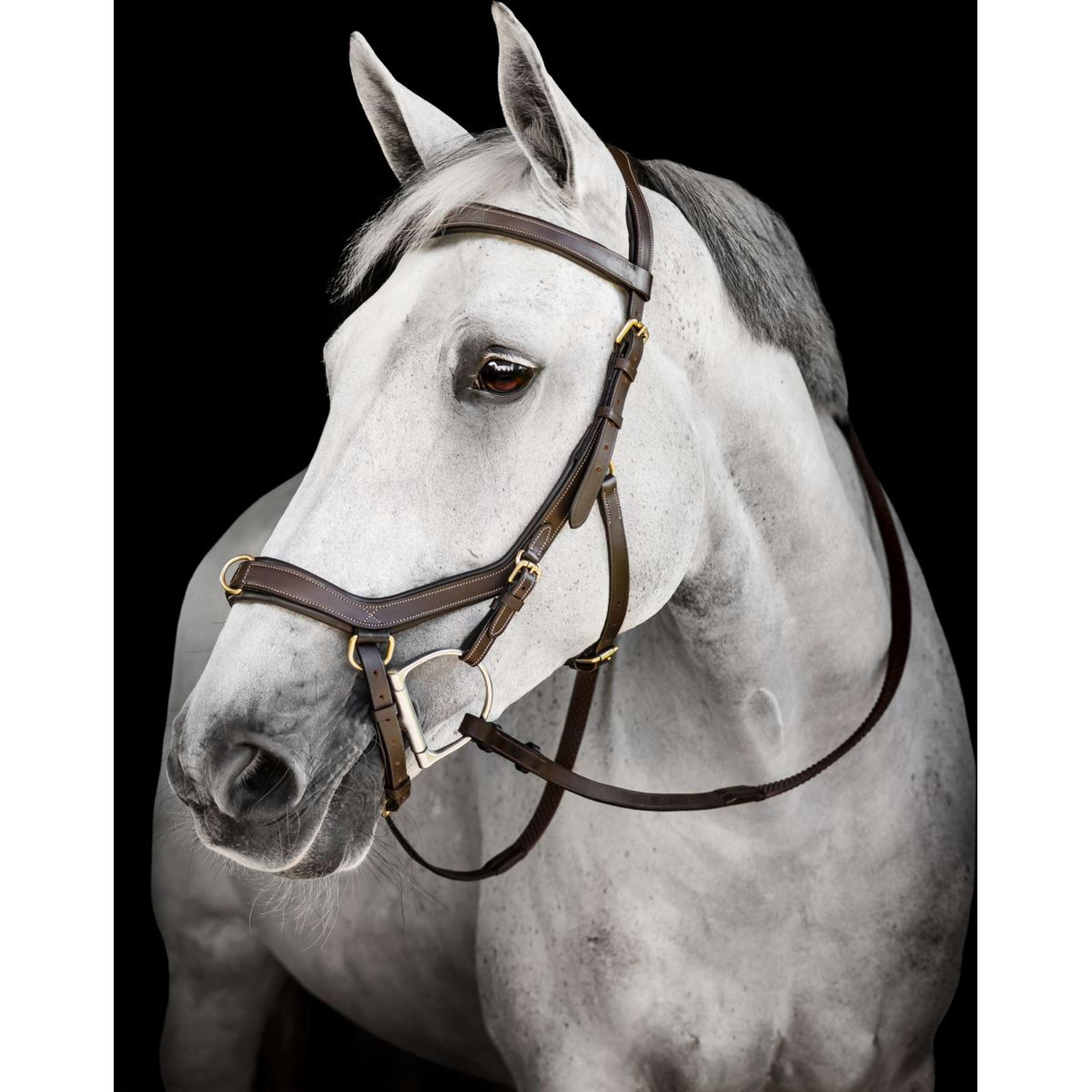 Horseware Micklem Multi Bridle Dark Havana
