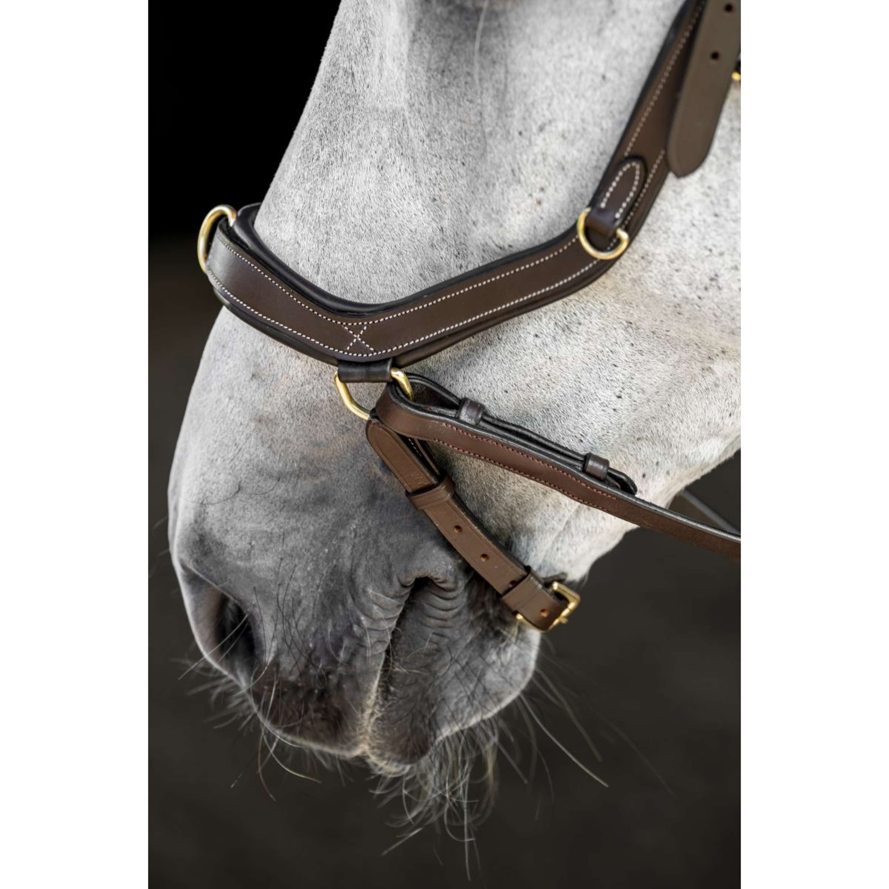 Horseware Micklem Multi Bridle Dark Havana