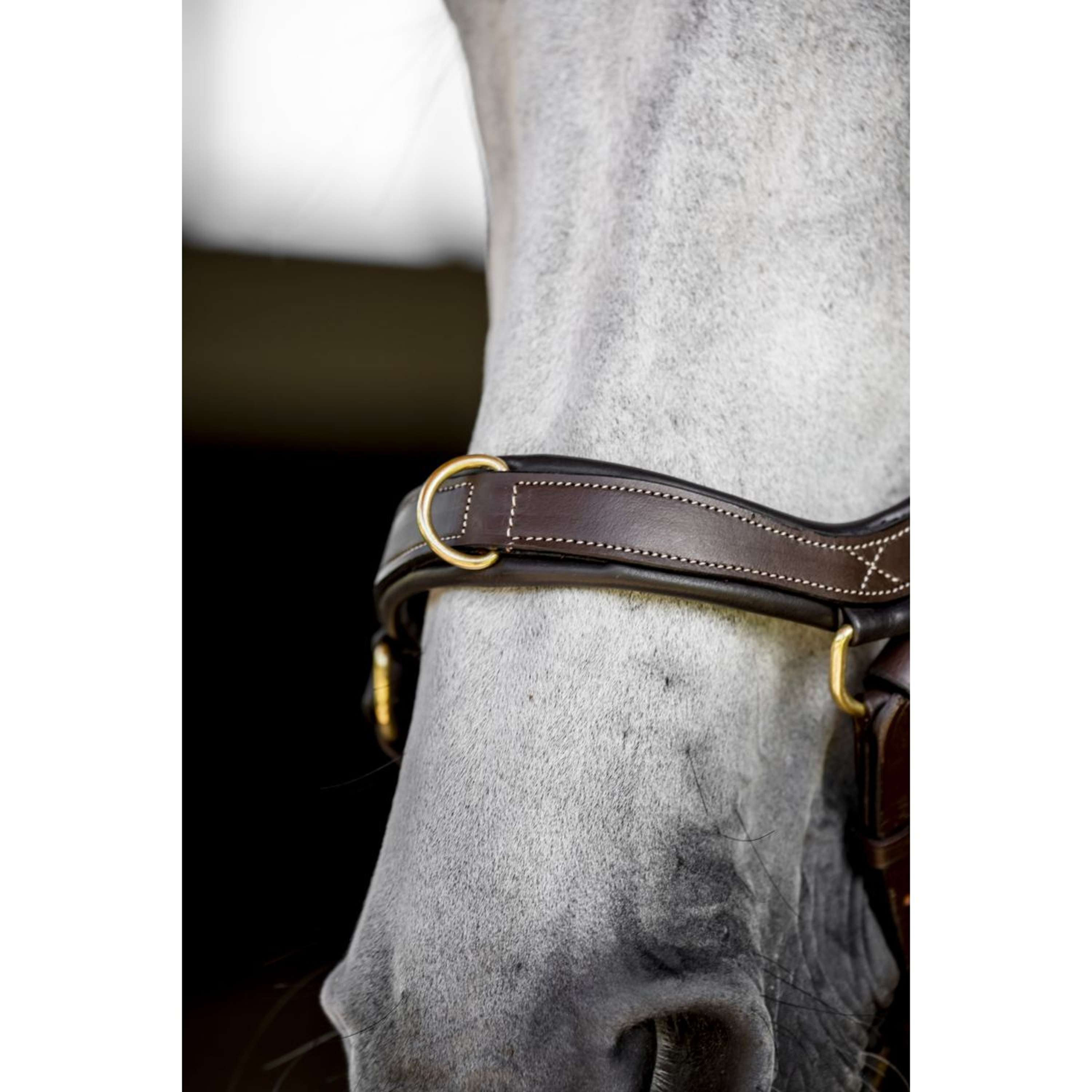 Horseware Micklem Multi Bridle Dark Havana