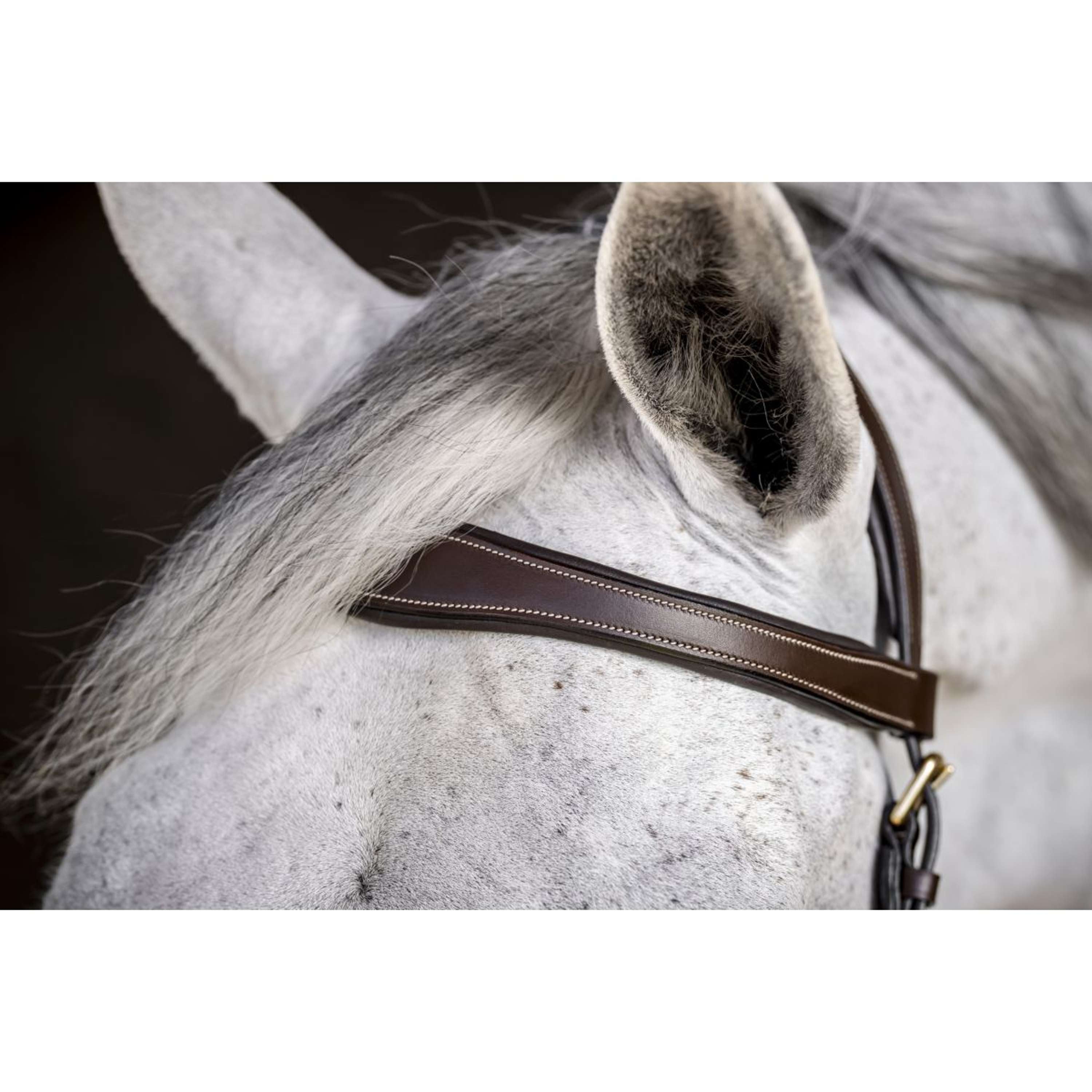 Horseware Micklem Multi Bridle Dark Havana