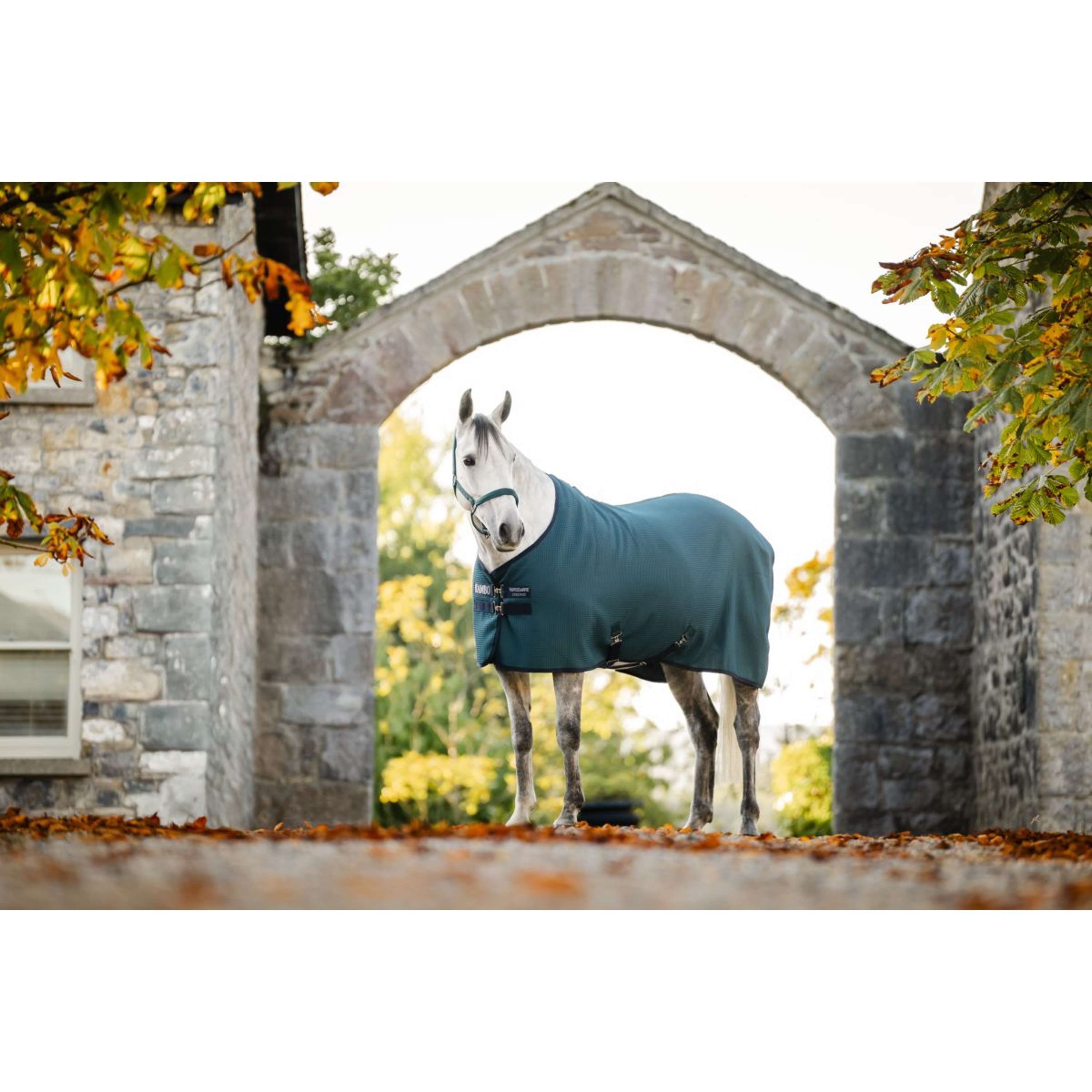 Rambo Waffle Cooler Techni Dynasty Green/Navy/Silver