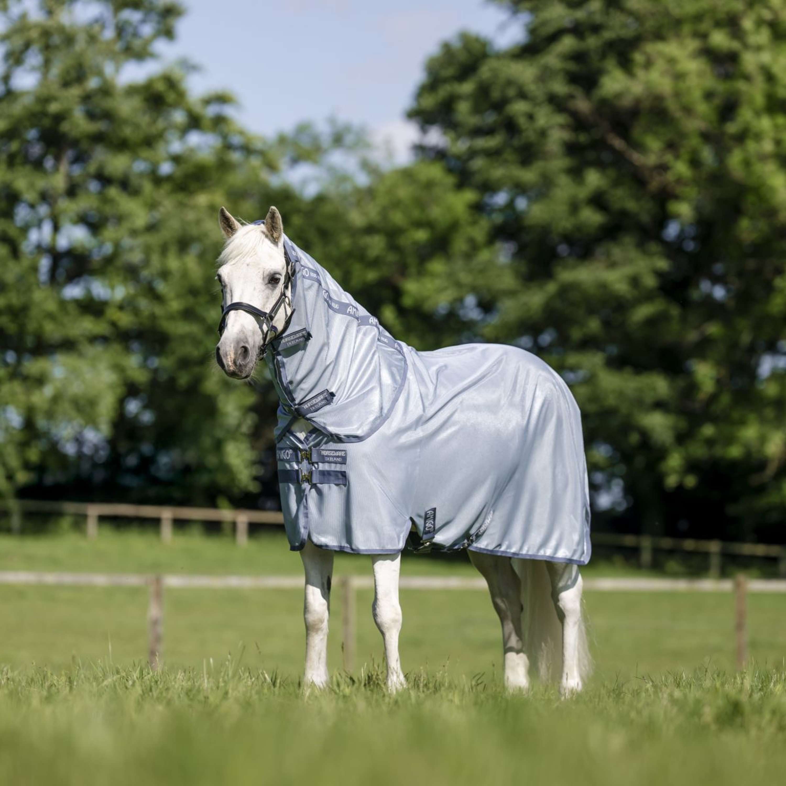 Amigo Couverture Anti-Mouches Plus Pony Heather Blue/Blue/Silver