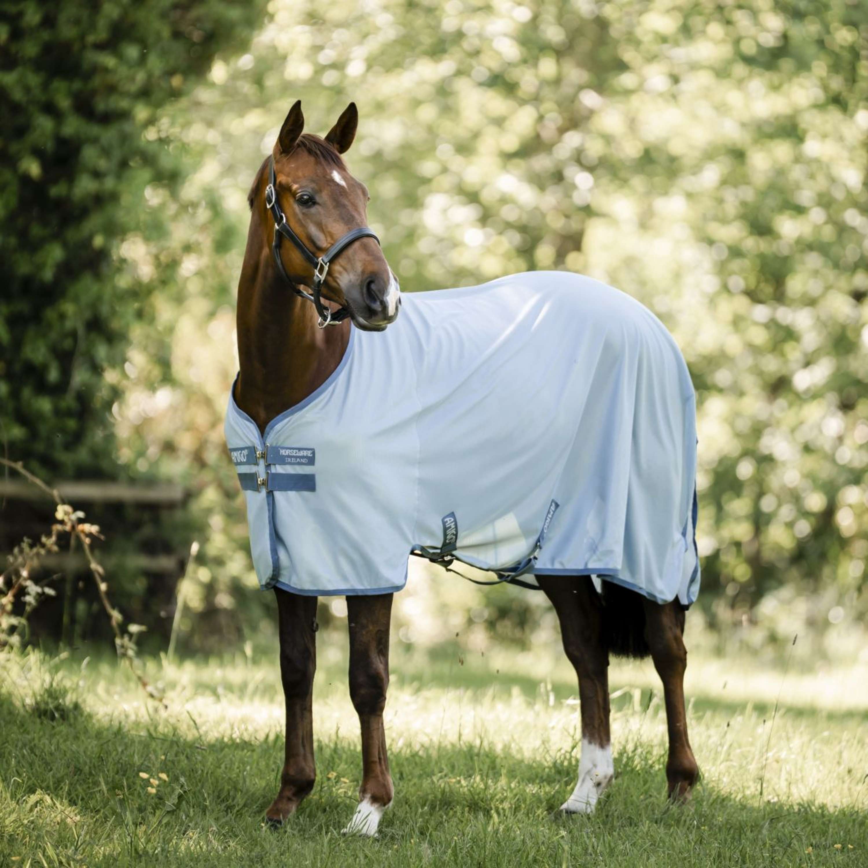 Amigo Couverture Anti-Mouches Heather Blue/Blue/Silver