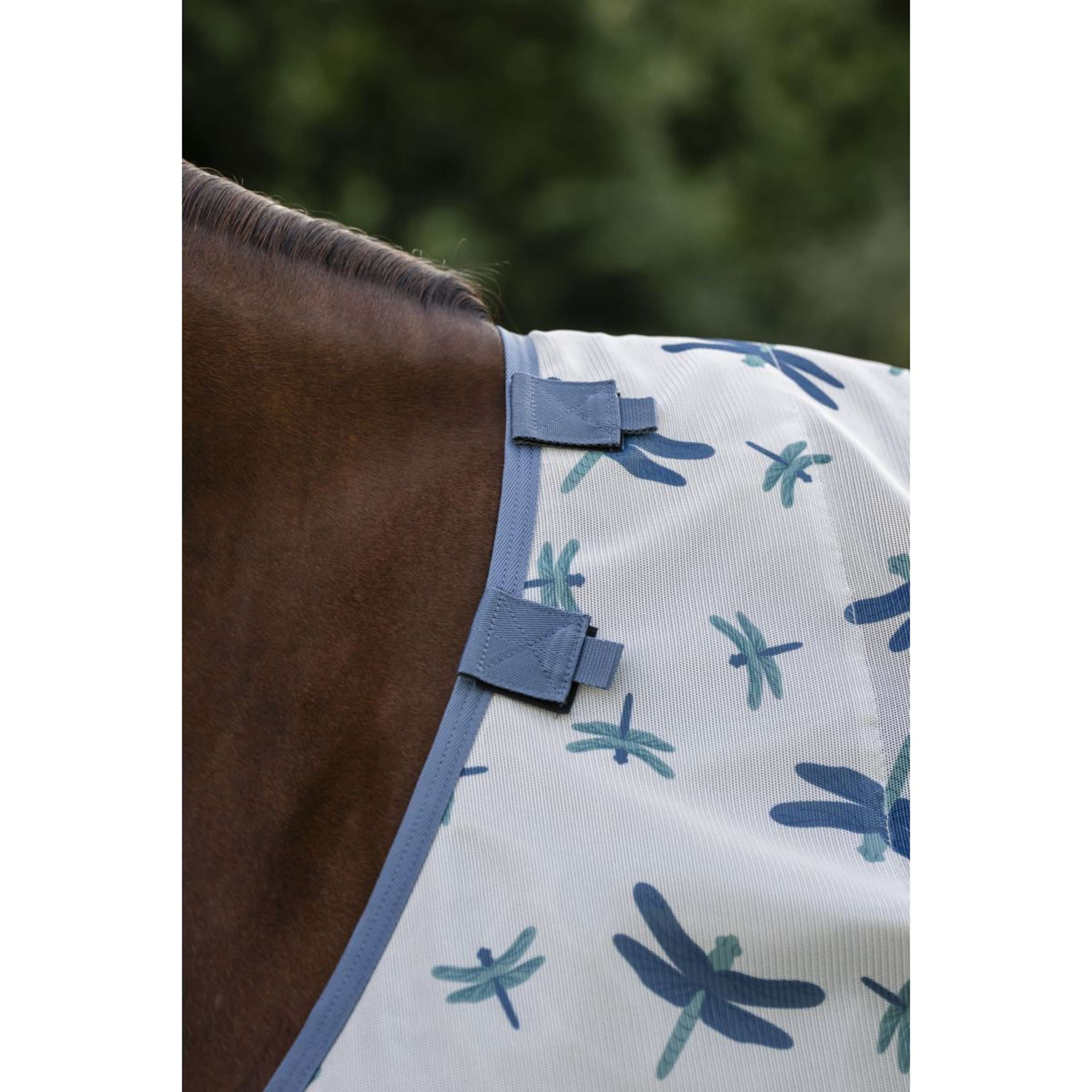 Amigo Couverture Anti-Mouches Pony Dragonfly Print/Silver/Blue/Sage