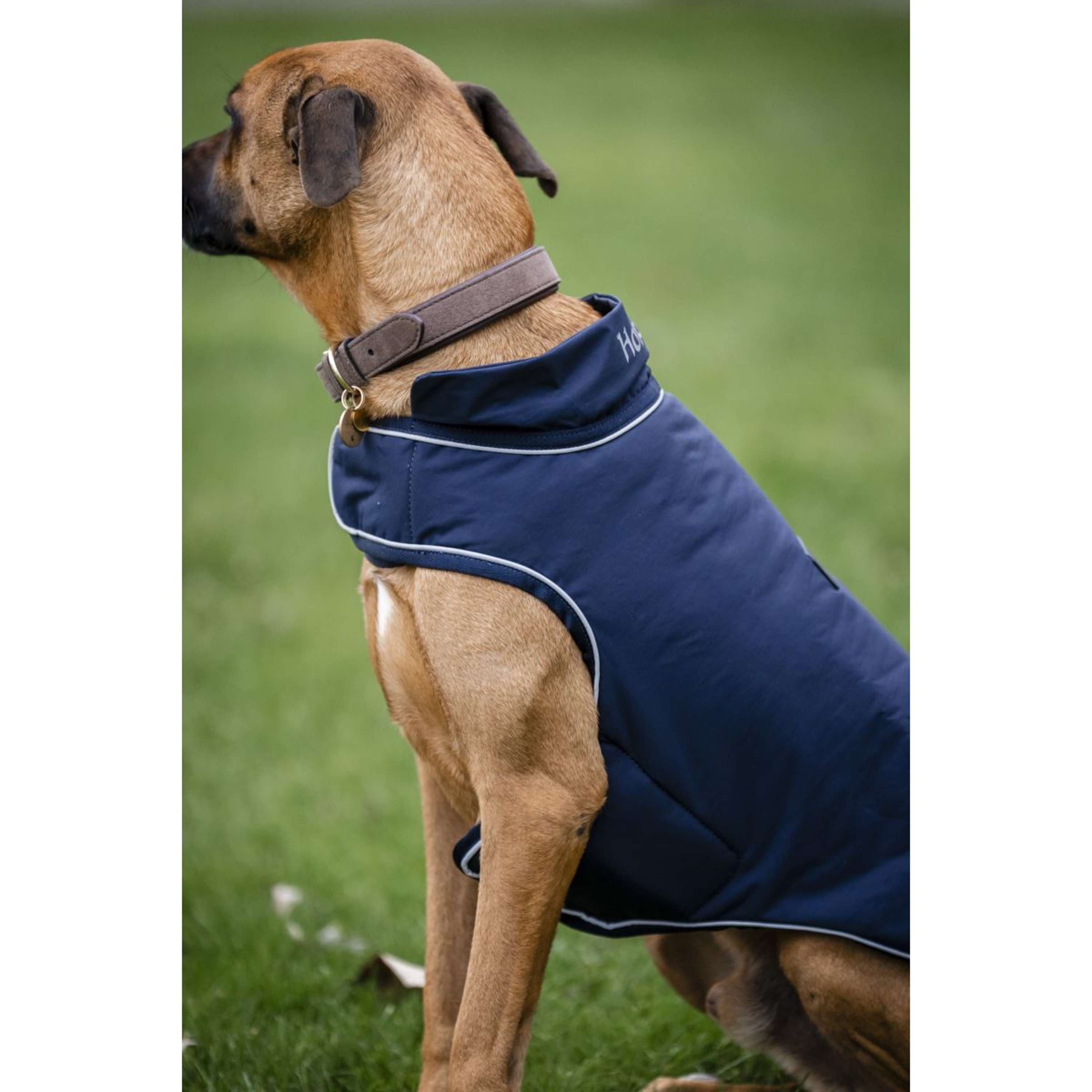 Horseware Couverture de Pluie pour Chien Signature 100g Marin