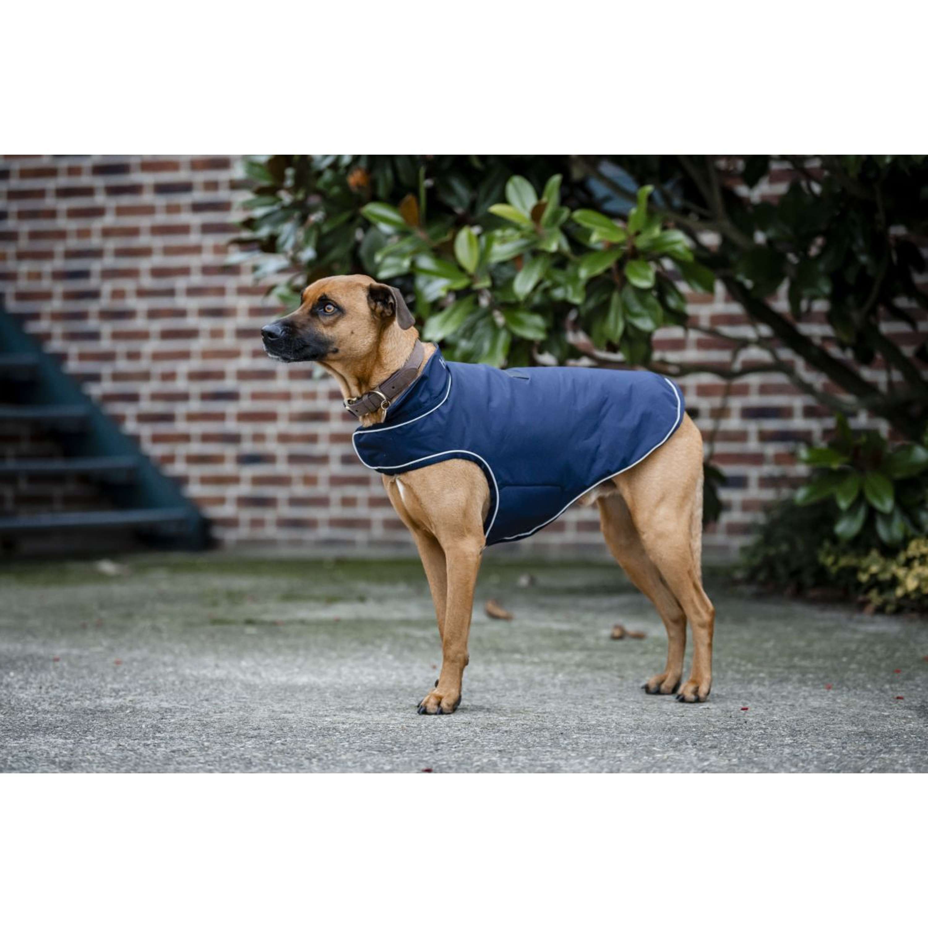 Horseware Couverture de Pluie pour Chien Signature 100g Marin