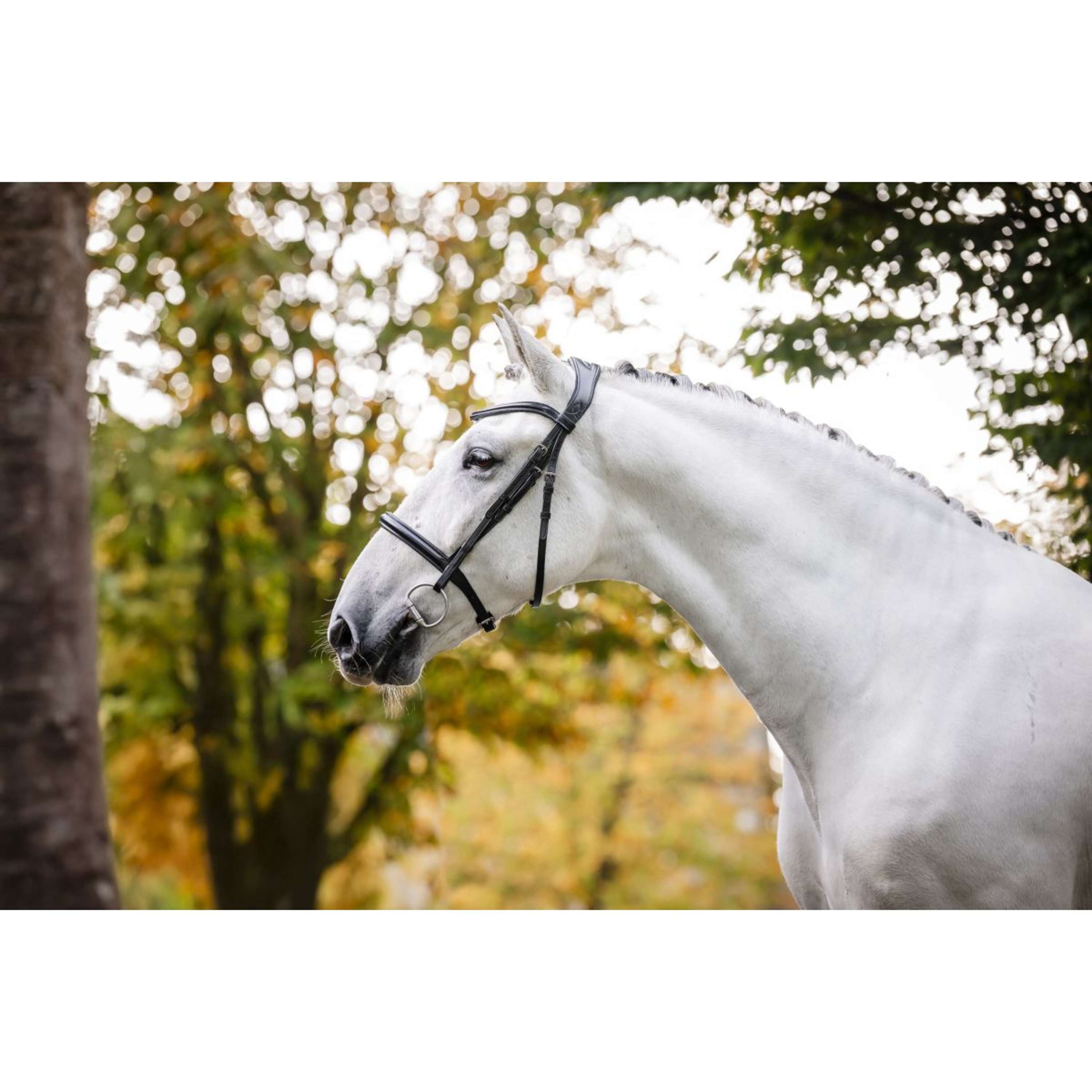 Horseware Bride Cavesson Noir