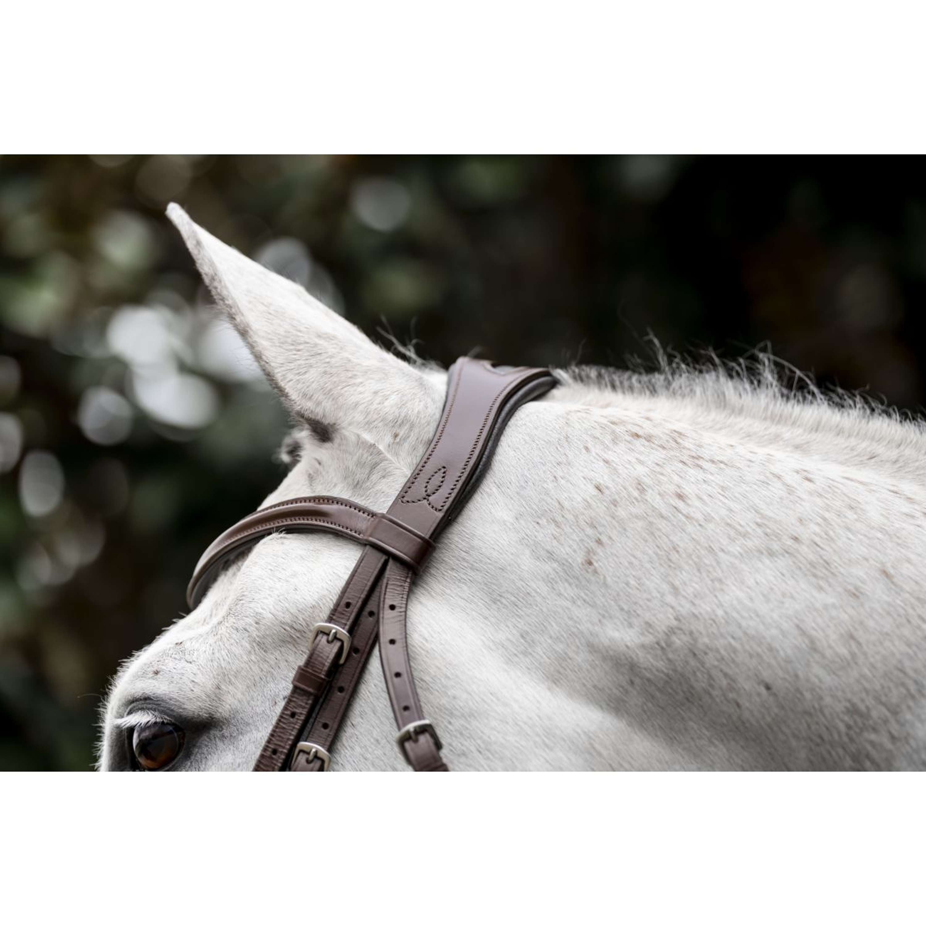 Horseware Bride Cavesson Marron