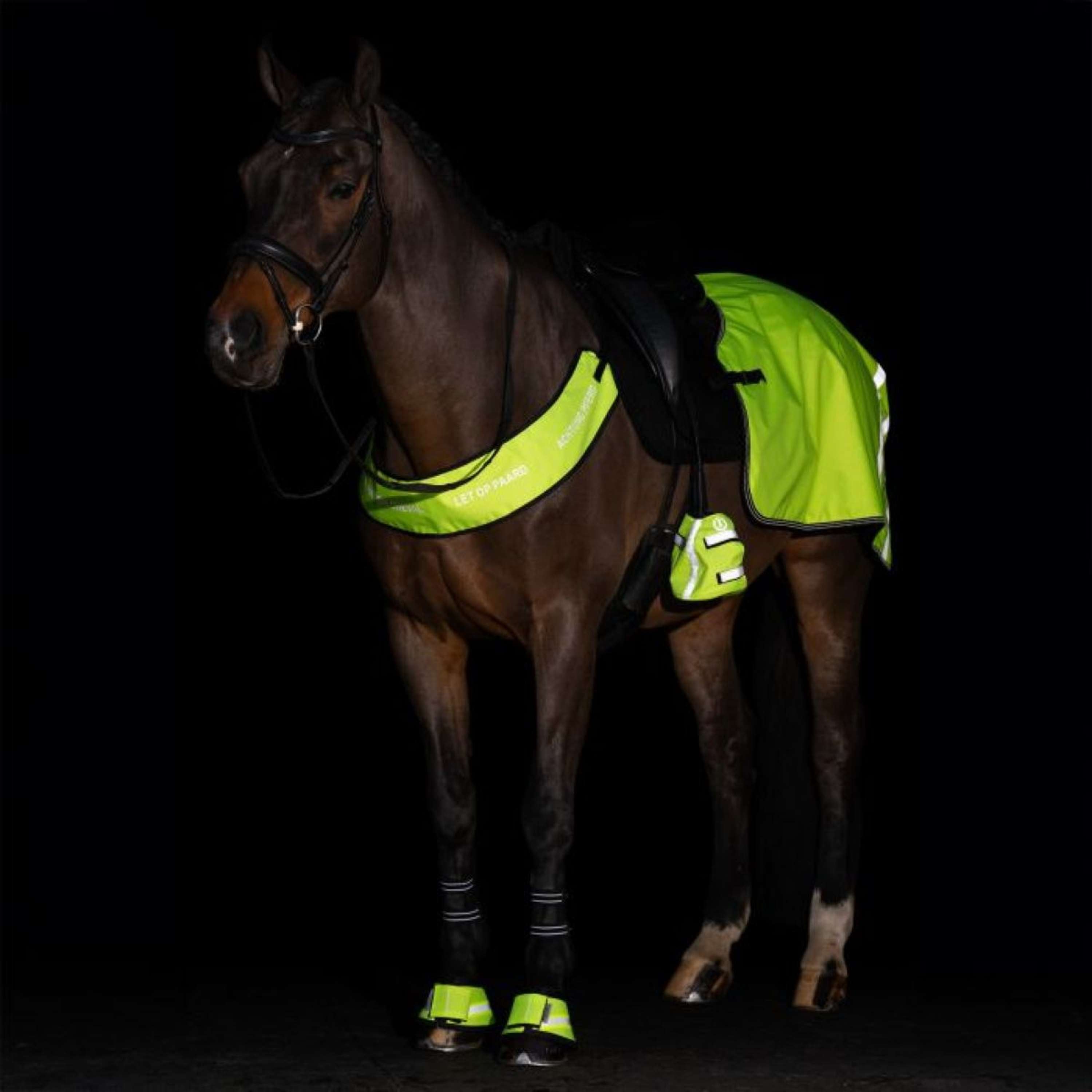 Imperial Riding Collier de Chasse IRHReflective Jaune
