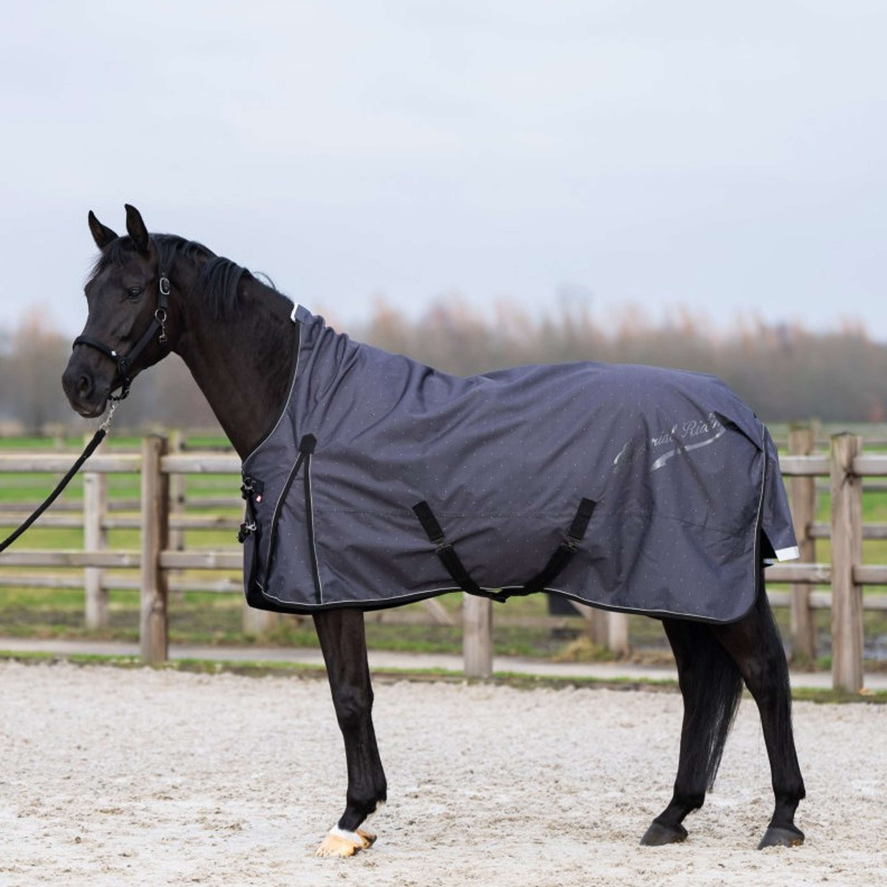 Imperial Riding Couverture d'Extérieur IRHSuper-dry AOP 200g Gris