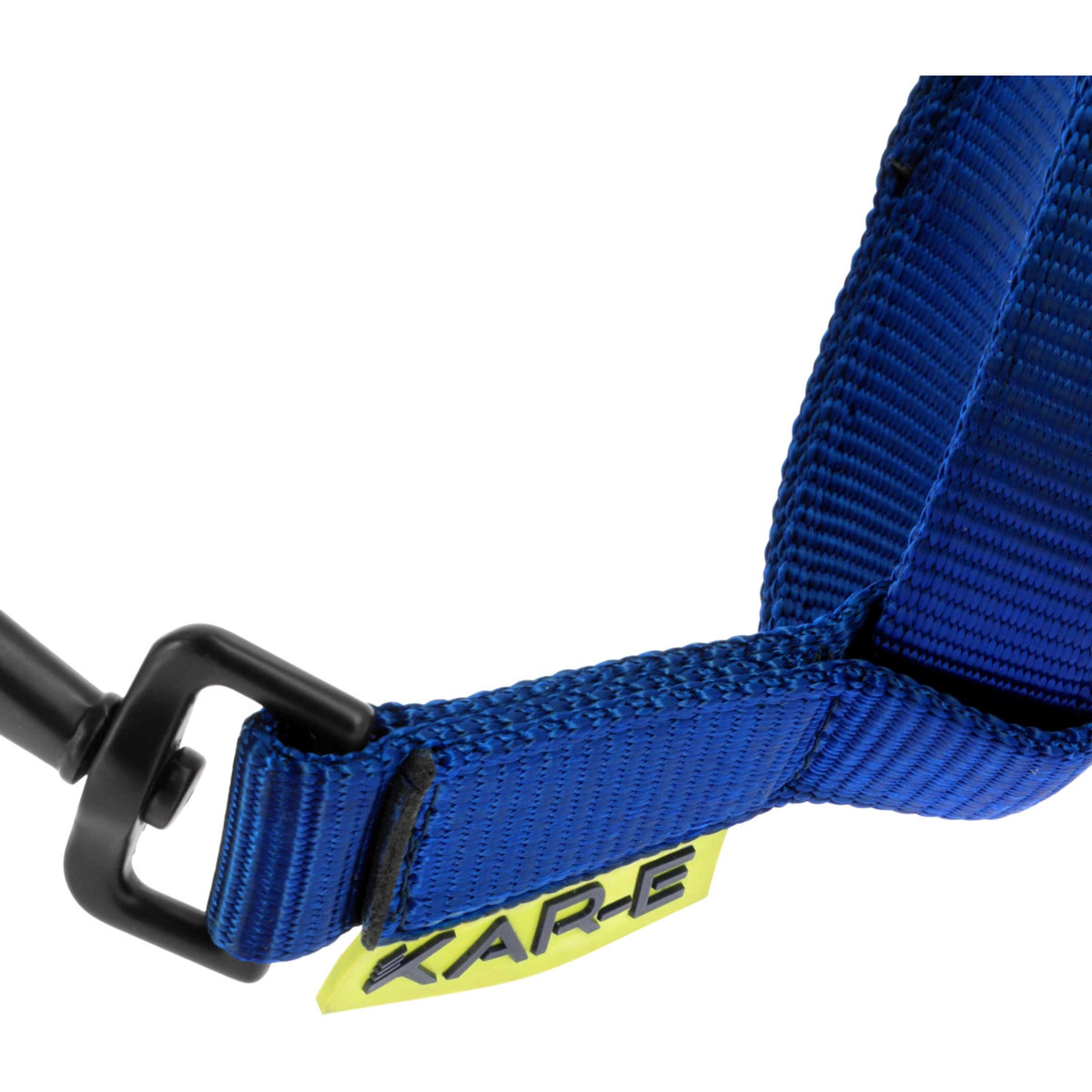 K by EQUITHÈME Licol Triton Bleu Royal