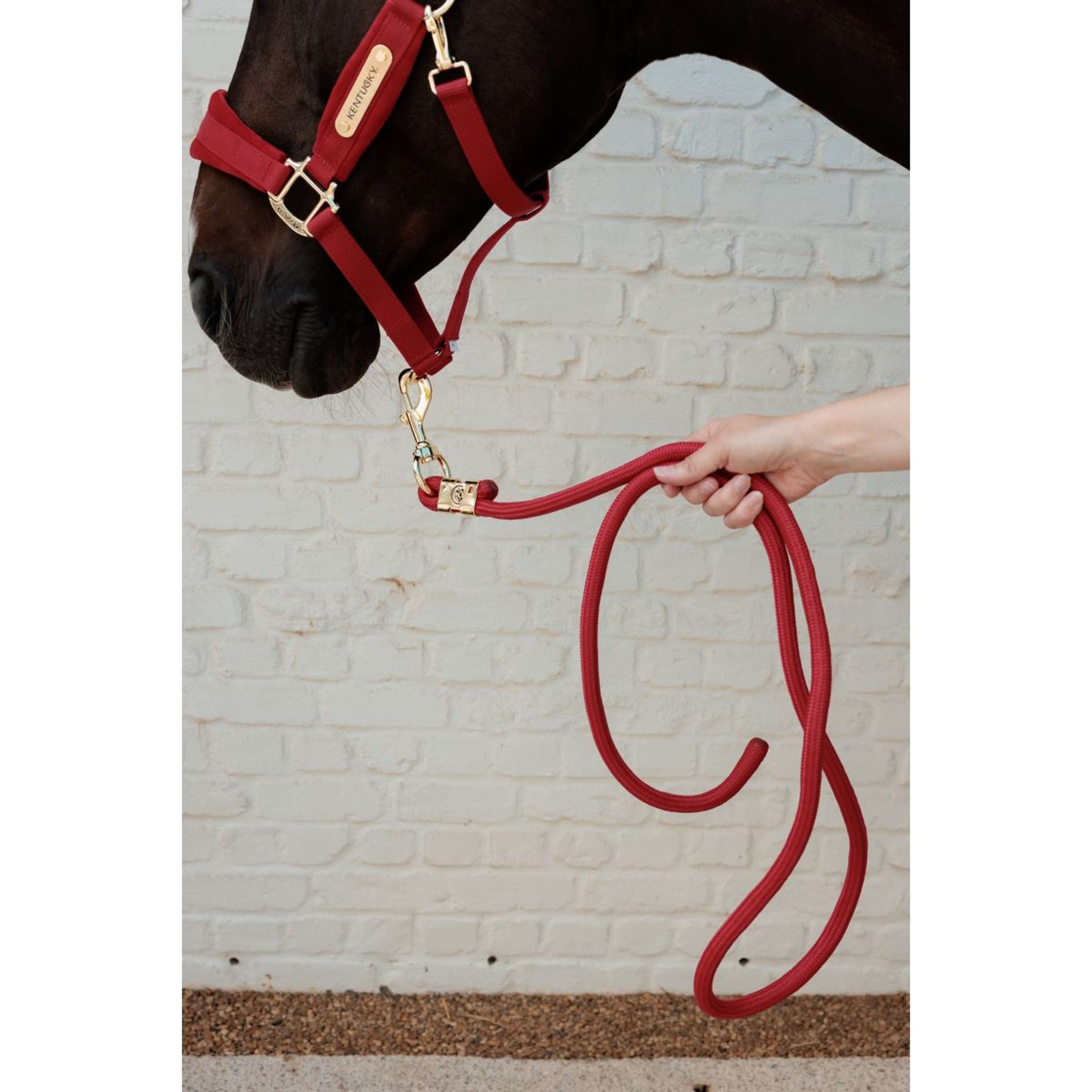 Kentucky Corde pour Licol Basic Rouge