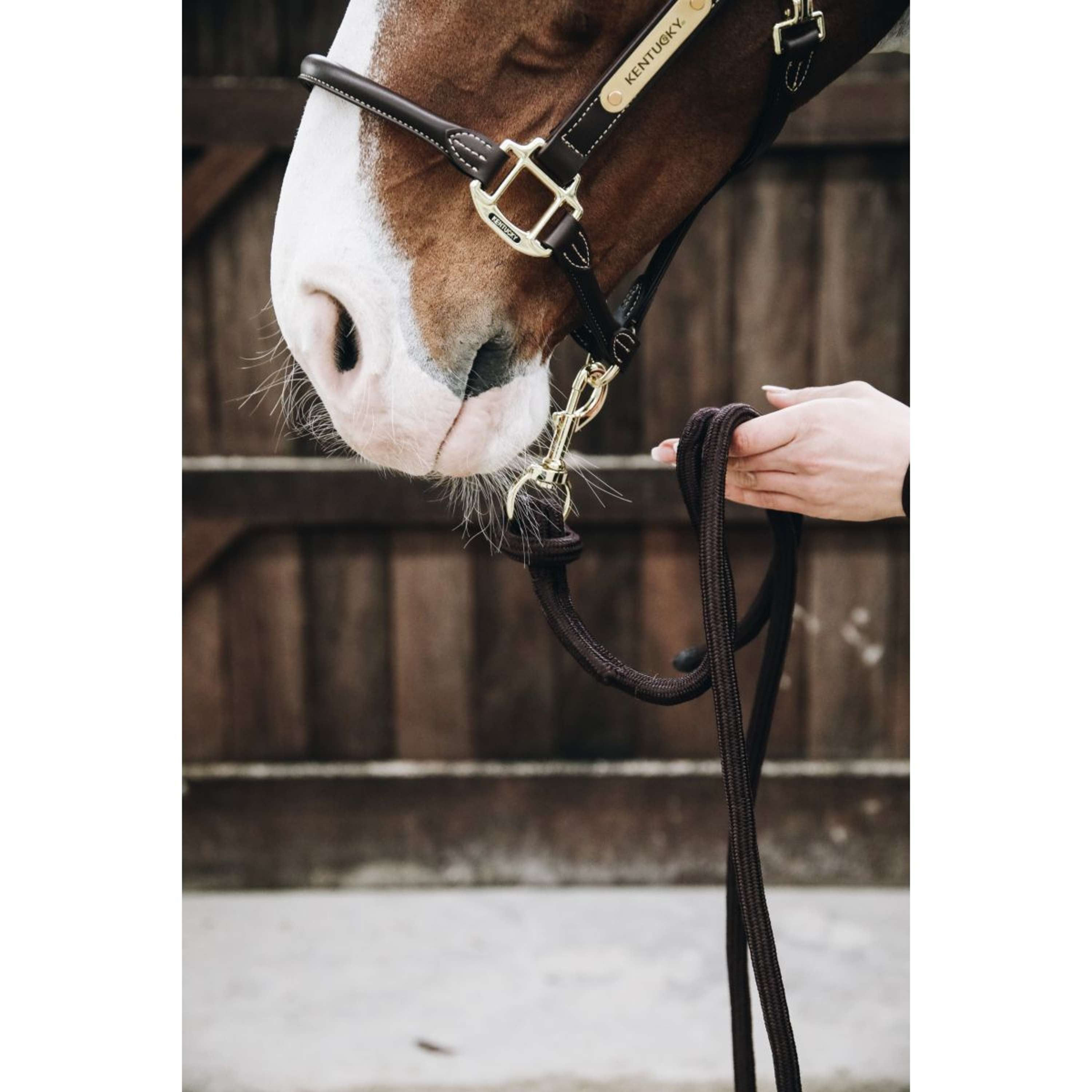 Kentucky Corde pour Licol Loop Marron