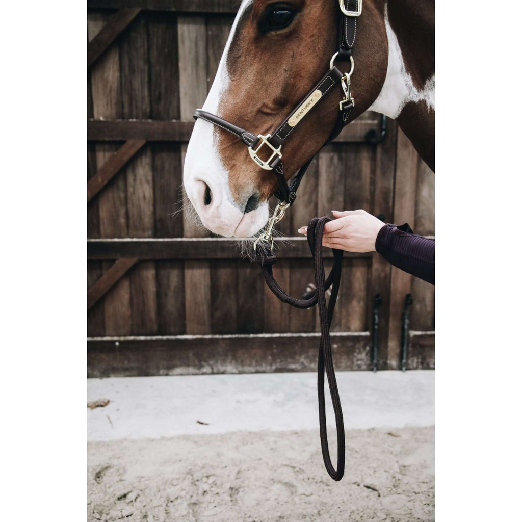 Kentucky Corde pour Licol Loop Marron