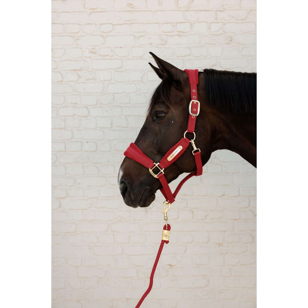 Kentucky Corde pour Licol Basic Rouge