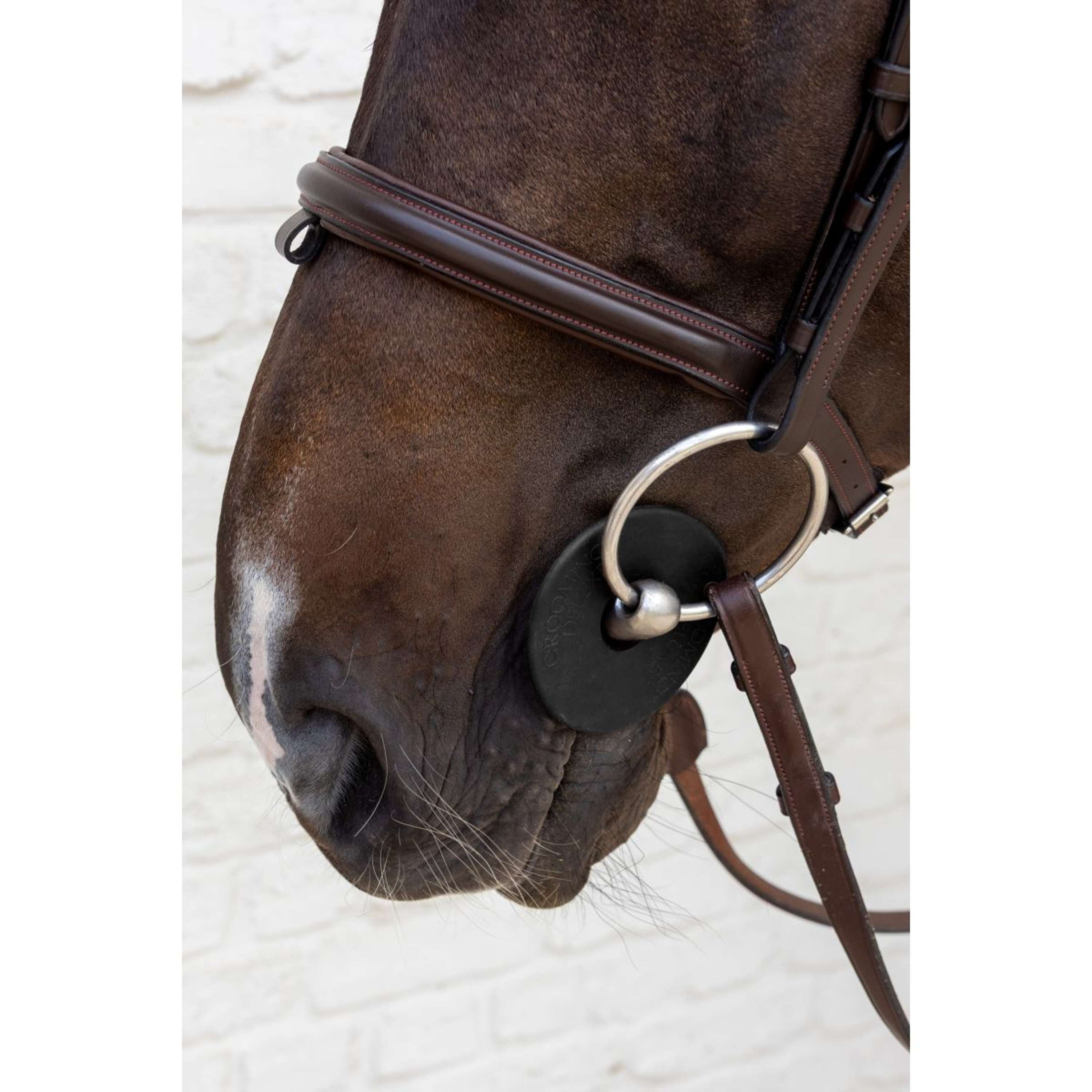 Kentucky Anneaux de Mors Bit Guard Noir
