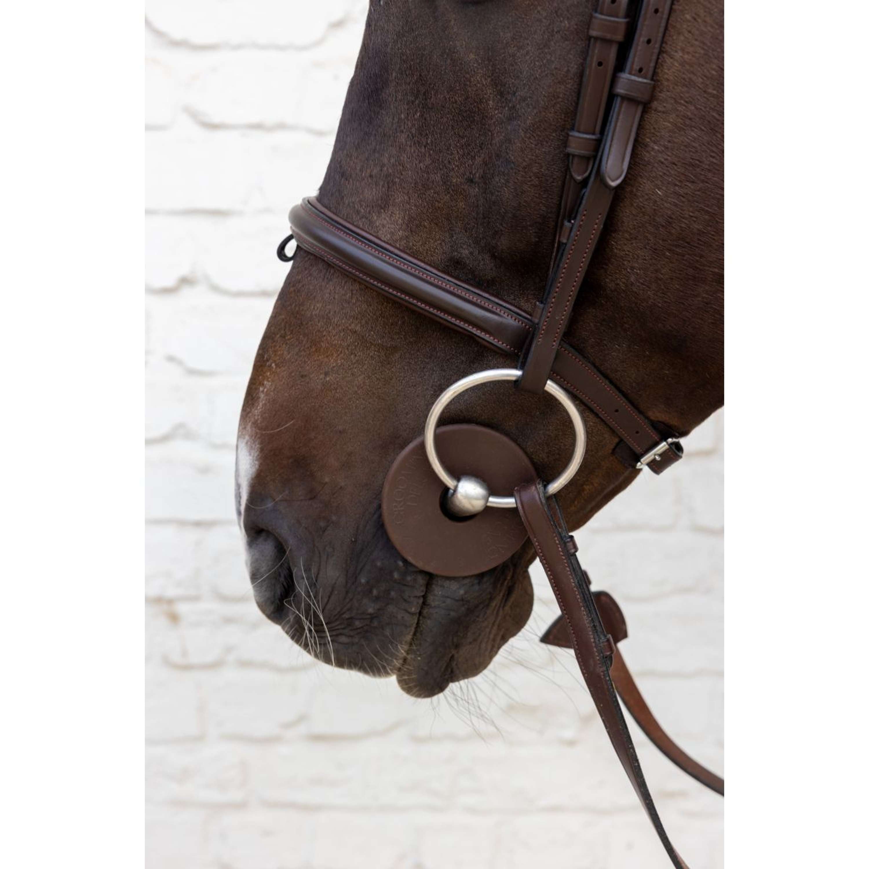 Kentucky Anneaux de Mors Bit Guard Marron