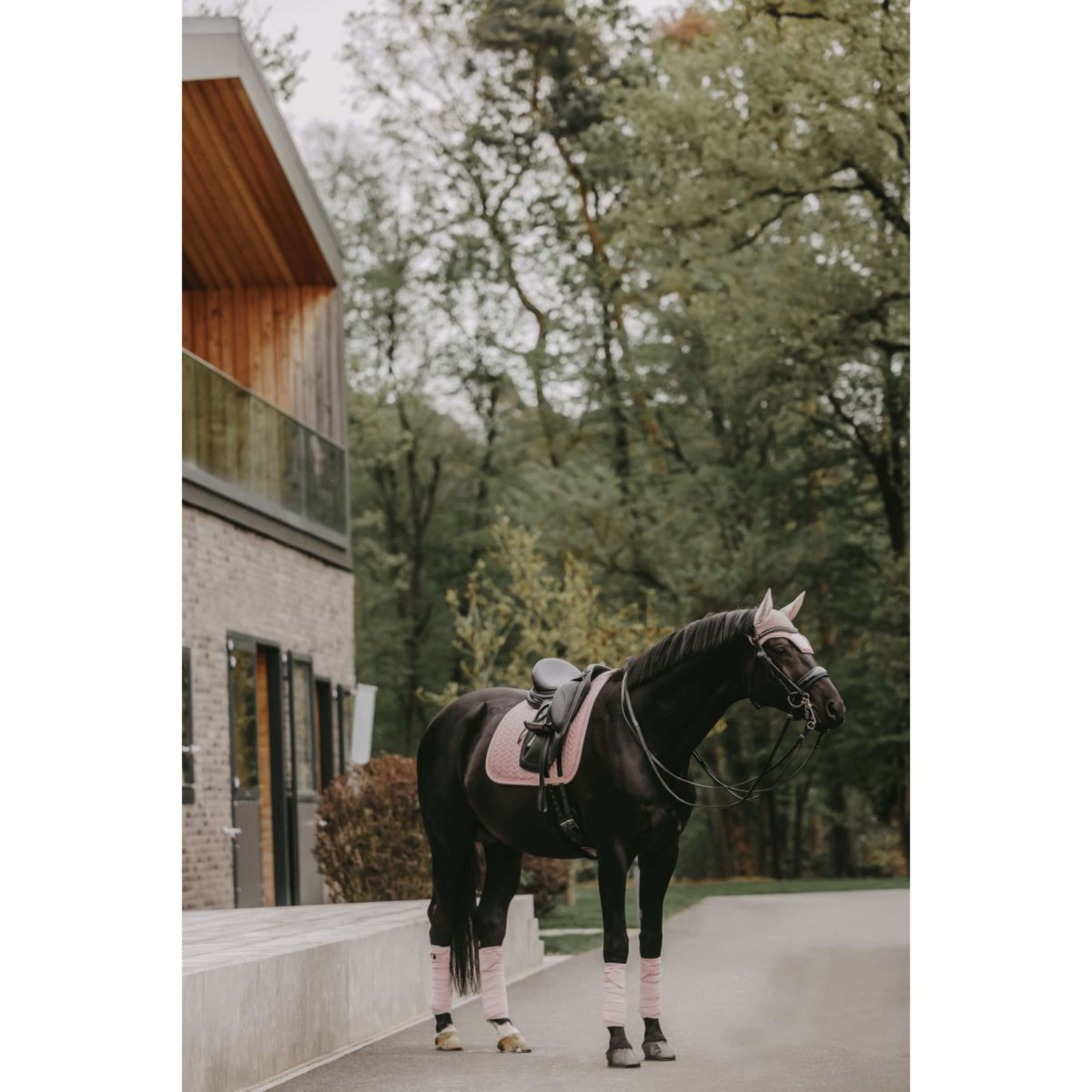 Kentucky Tapis de Selle velours Pearls Dressage Soft Rose
