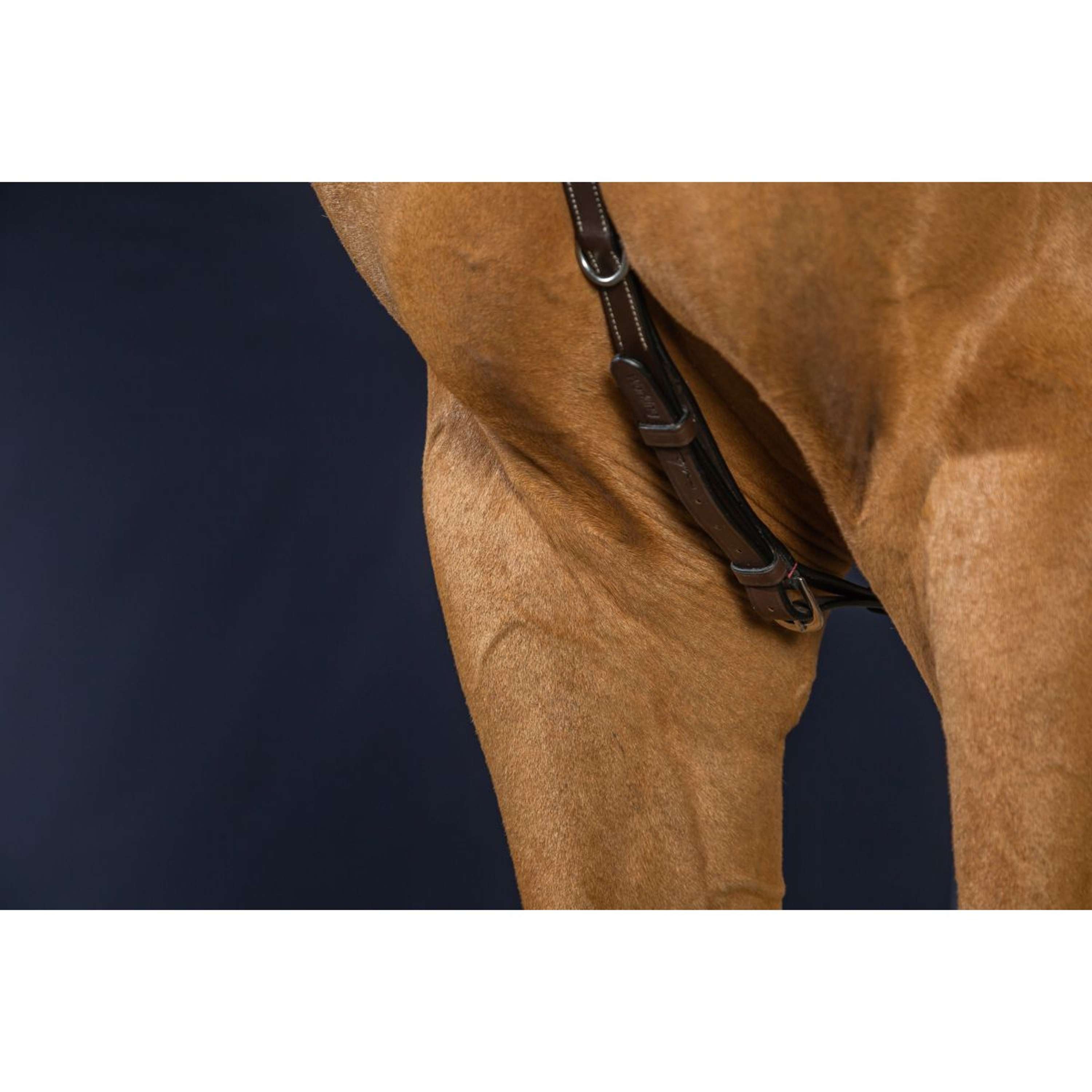 Dyon Collier de Chasse Bridge Working by Dyon Marron