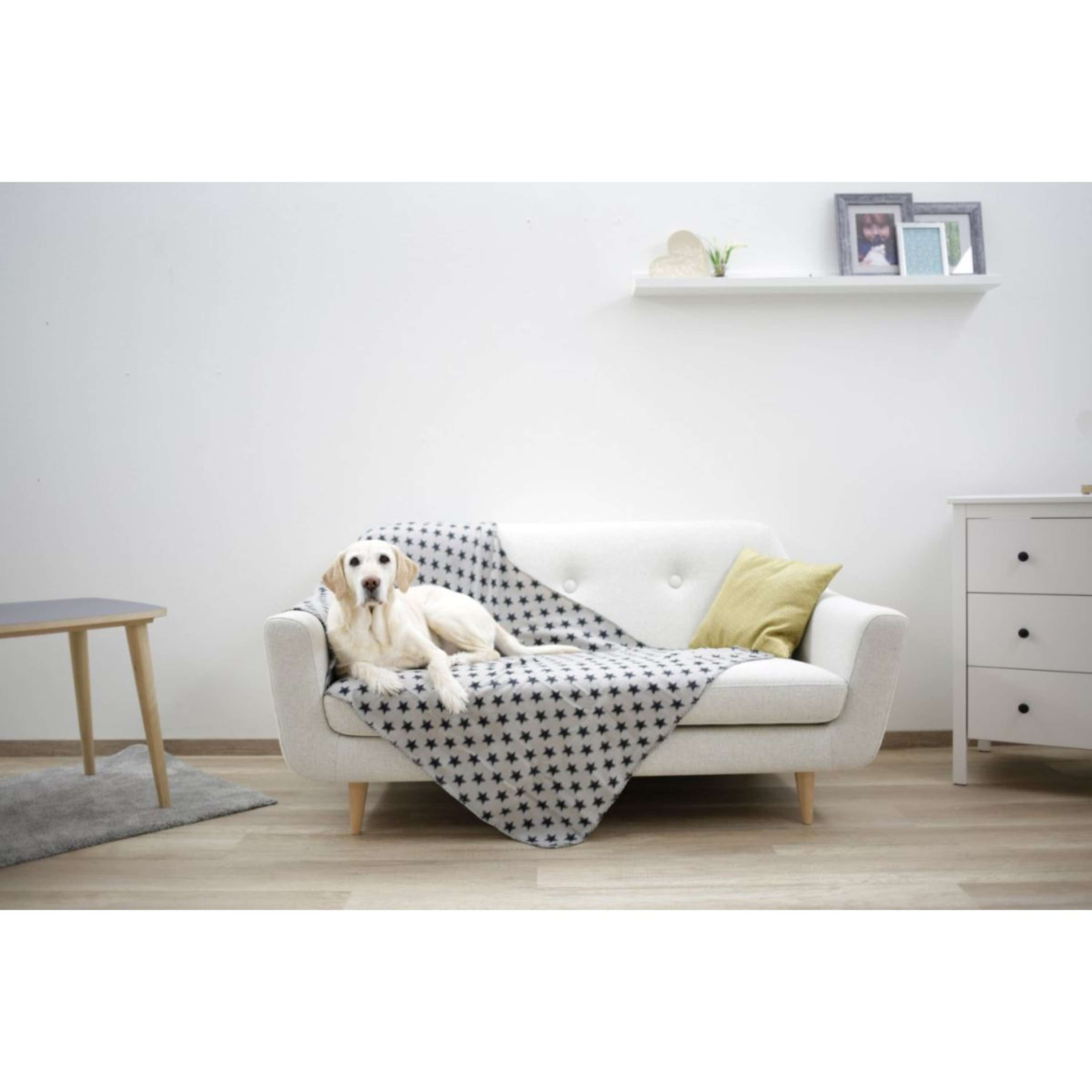 Kerbl Couverture pour Chien Stella Gris