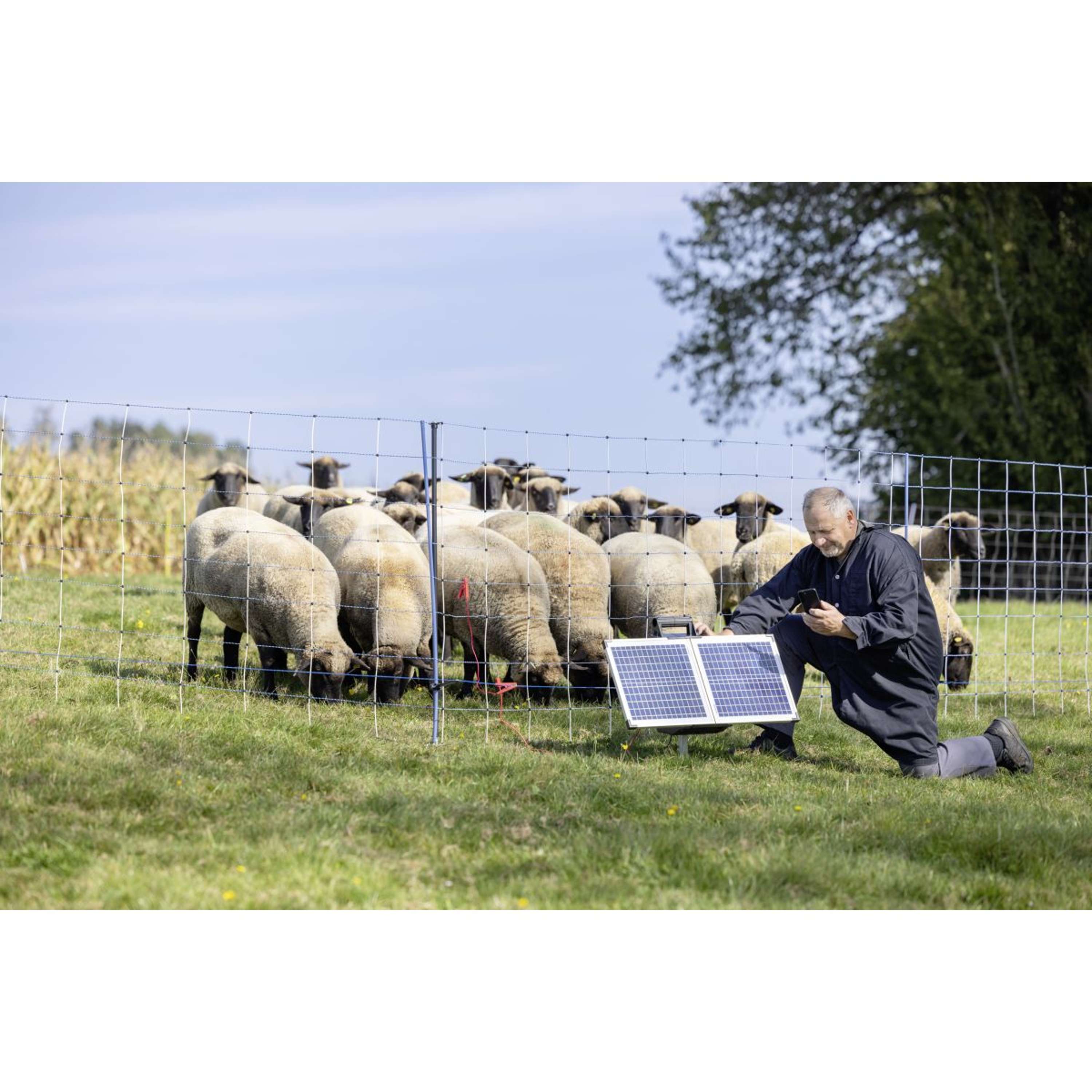 Ako Électrificateur SunPower S2400 Smart 12V