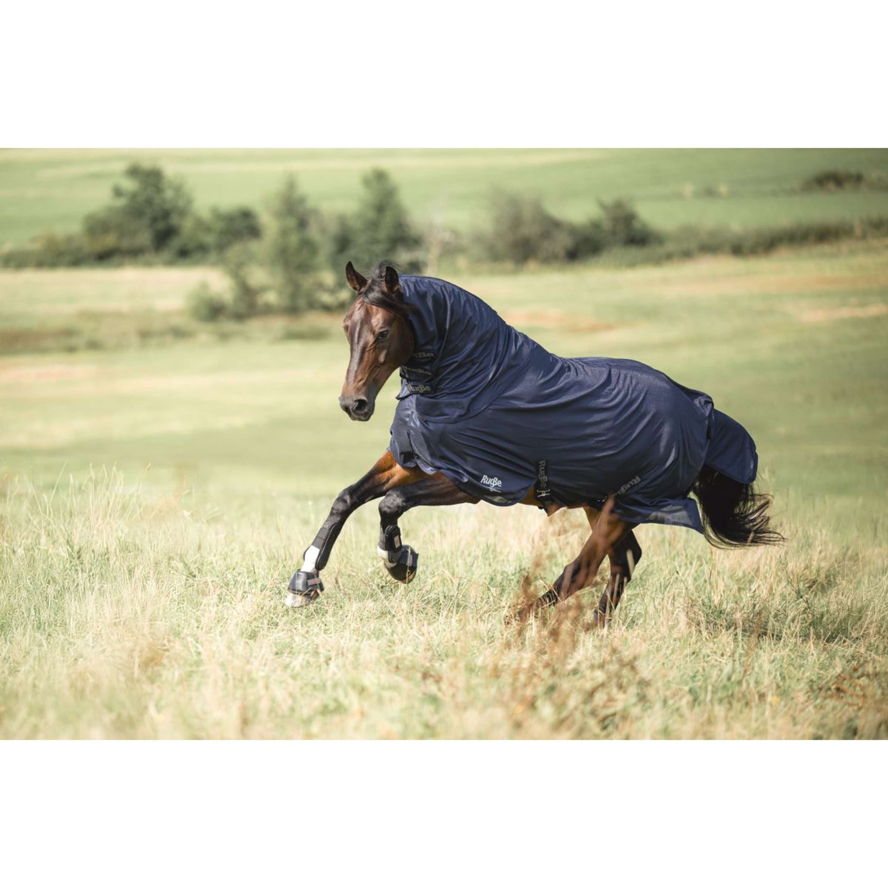 Covalliero Couverture Anti-Mouches RugBe SuperFly Marin