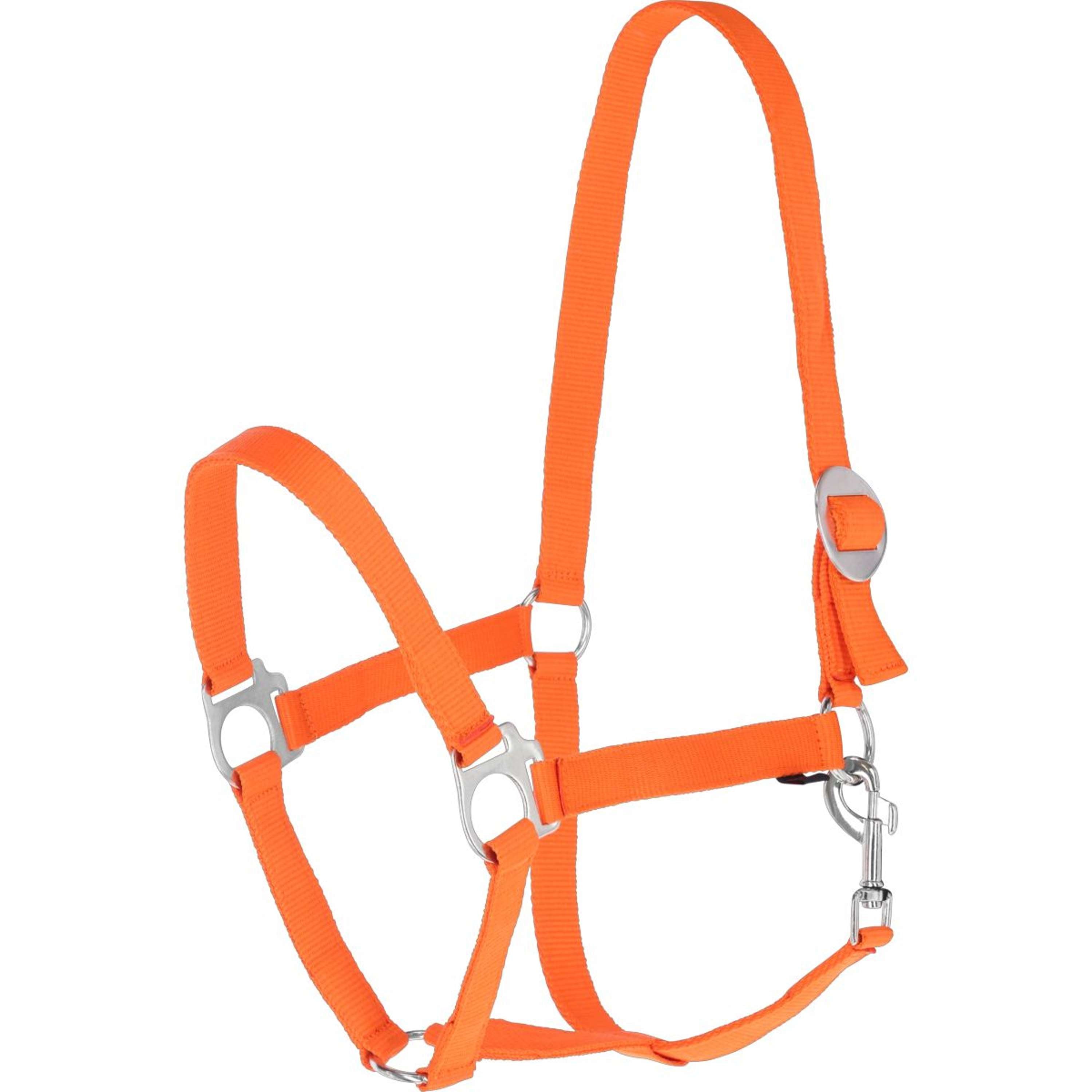 Covalliero Licol Hippo Orange