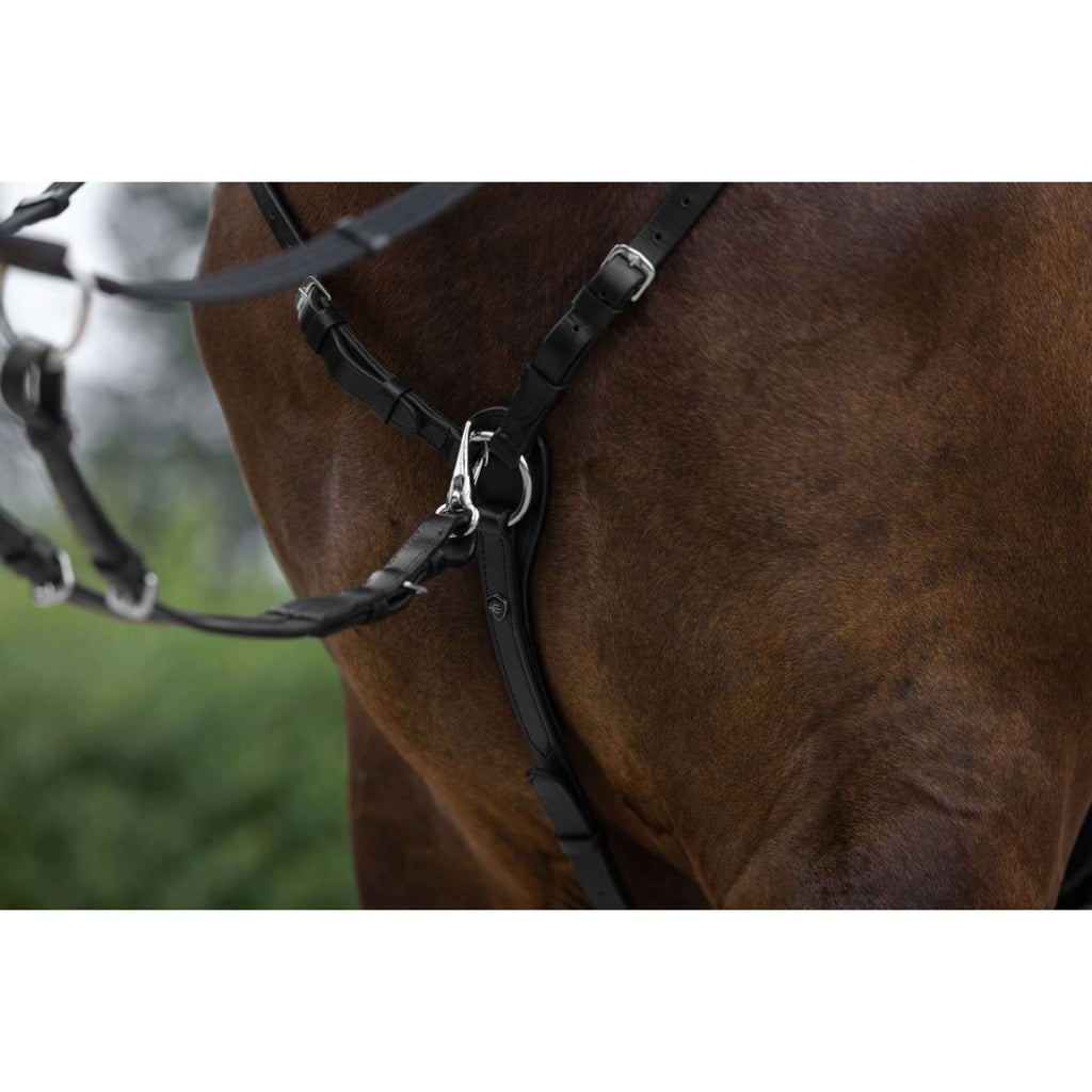 Covalliero Collier de Chasse avec Martingale Noir