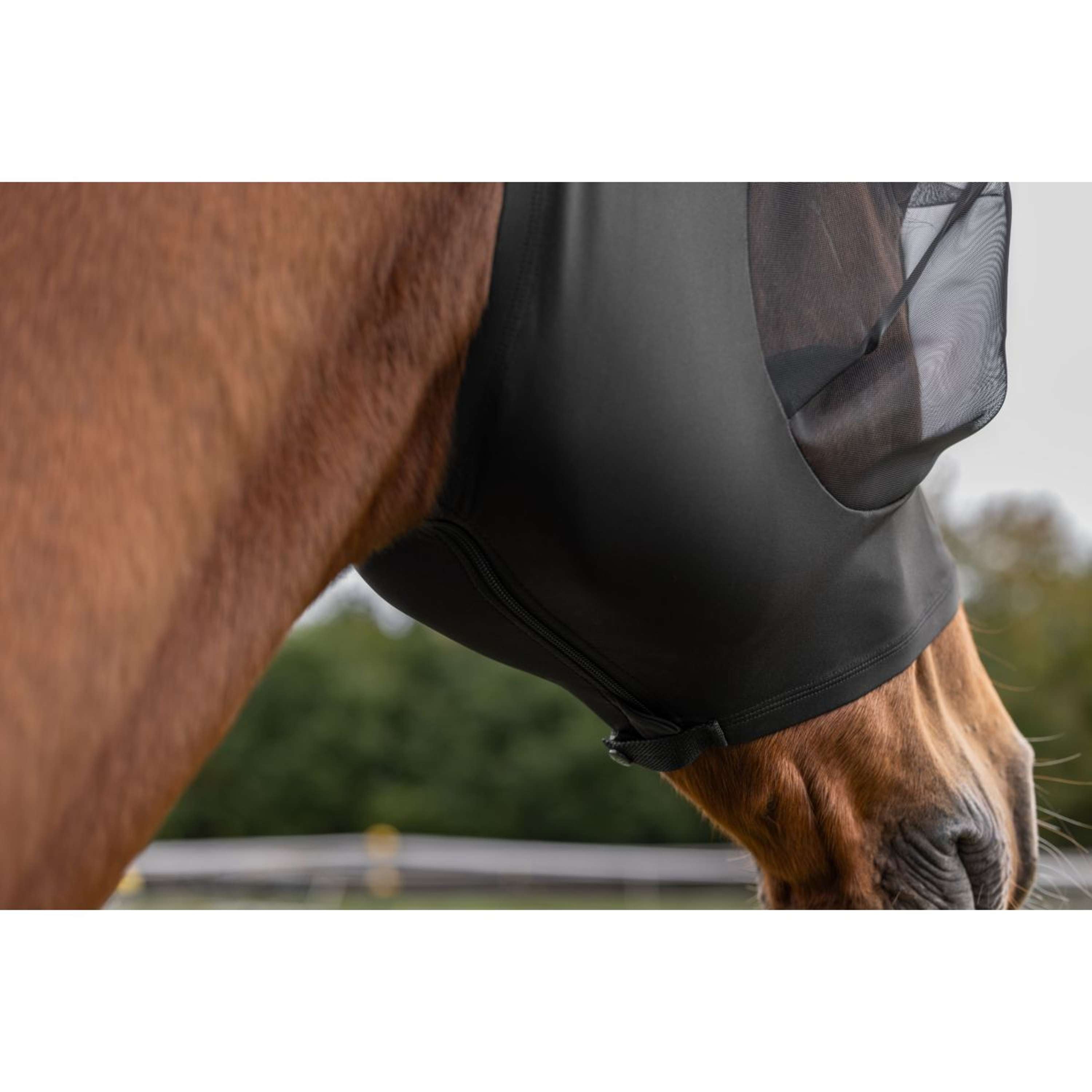 Covalliero Masque Anti-Mouches FinoStretch Noir
