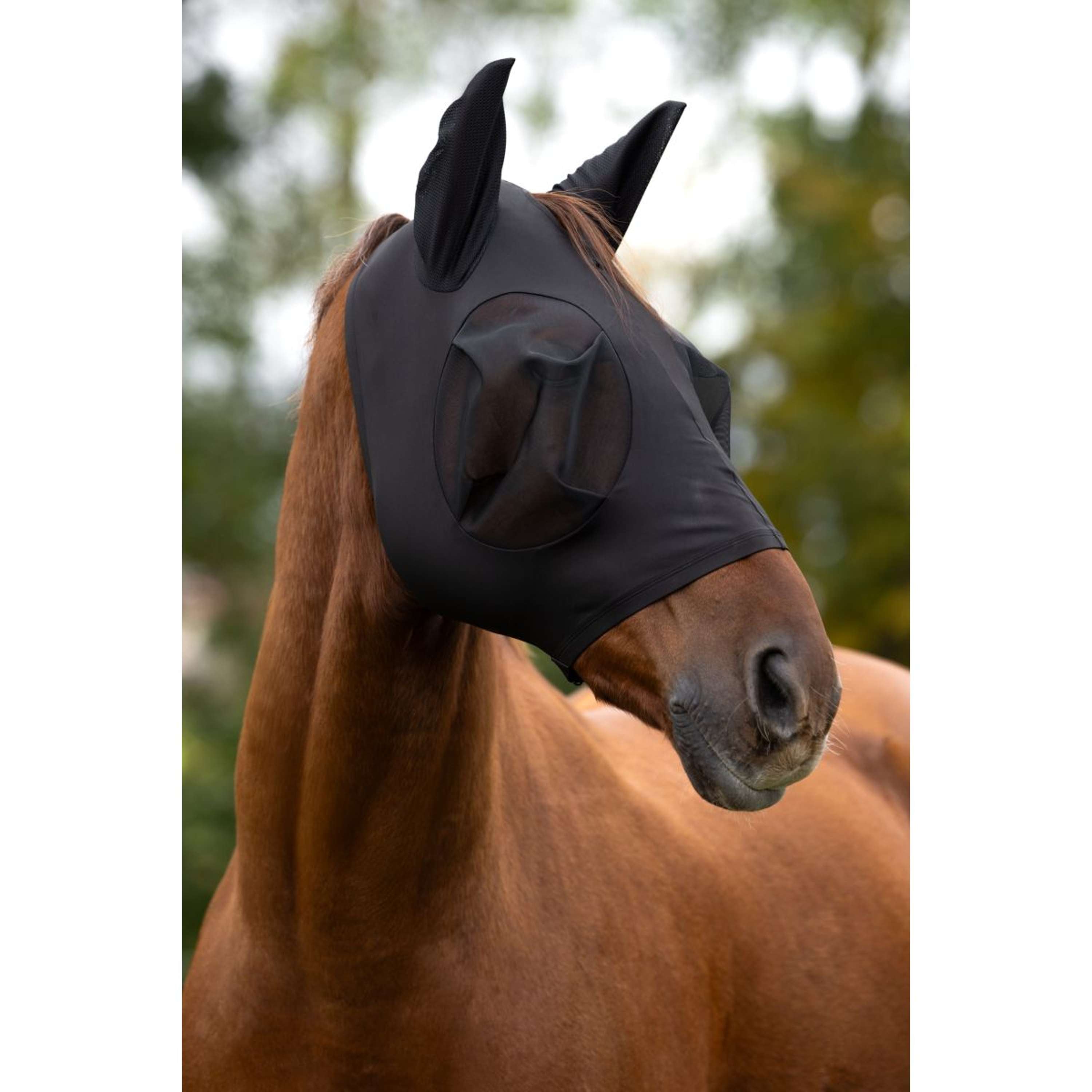 Covalliero Masque Anti-Mouches FinoStretch Noir
