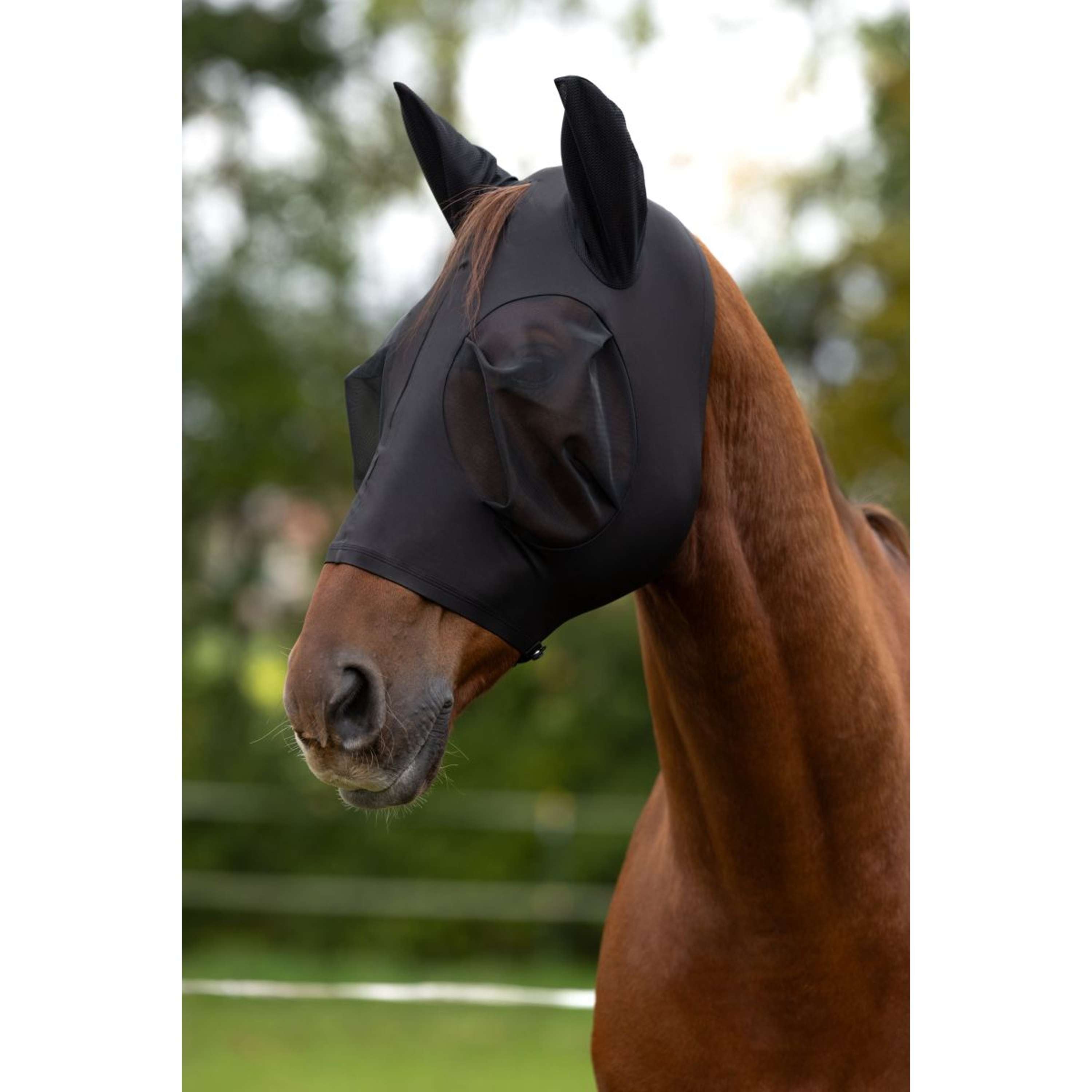 Covalliero Masque Anti-Mouches FinoStretch Noir