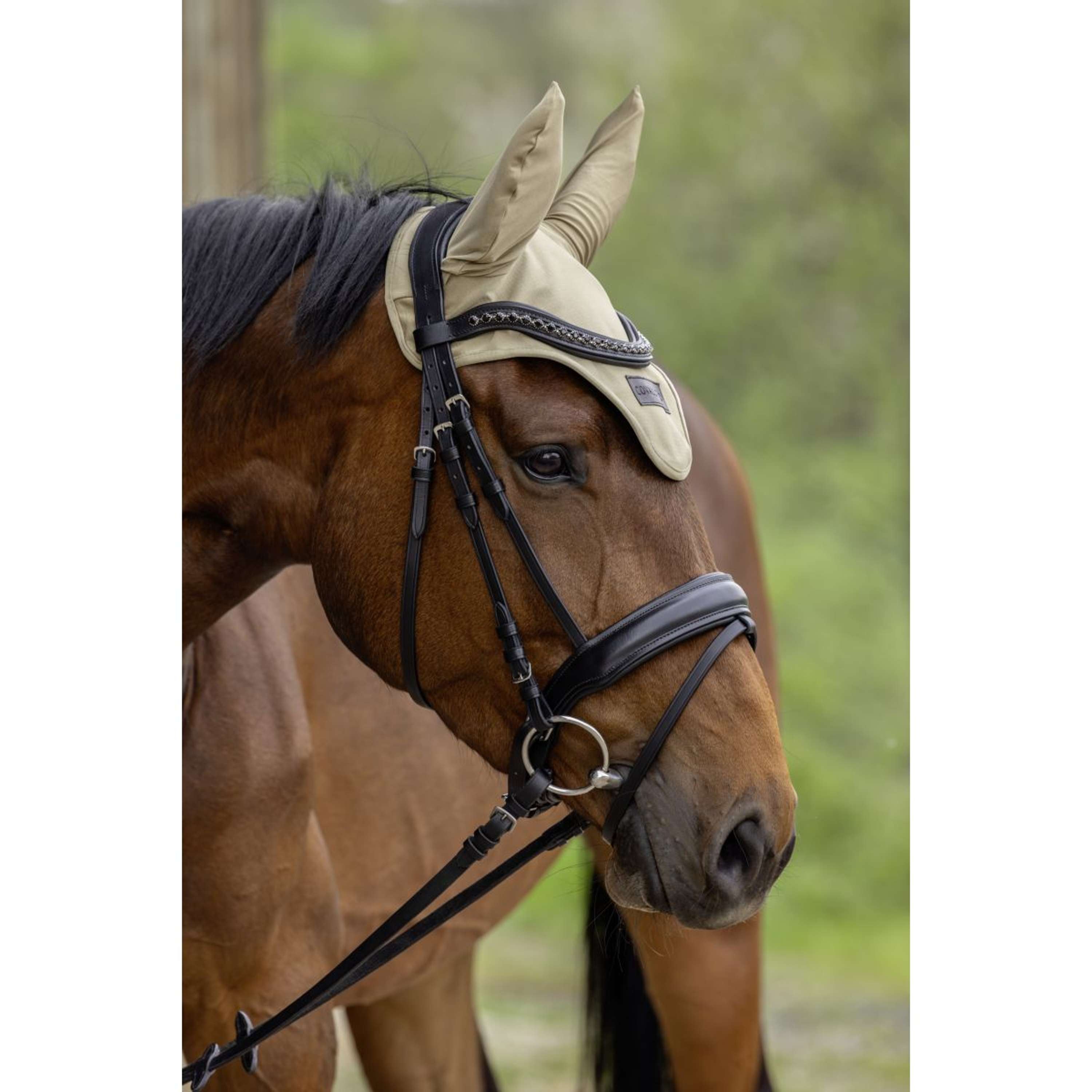 Covalliero Bonnet Anti-Mouches SS26 Noix