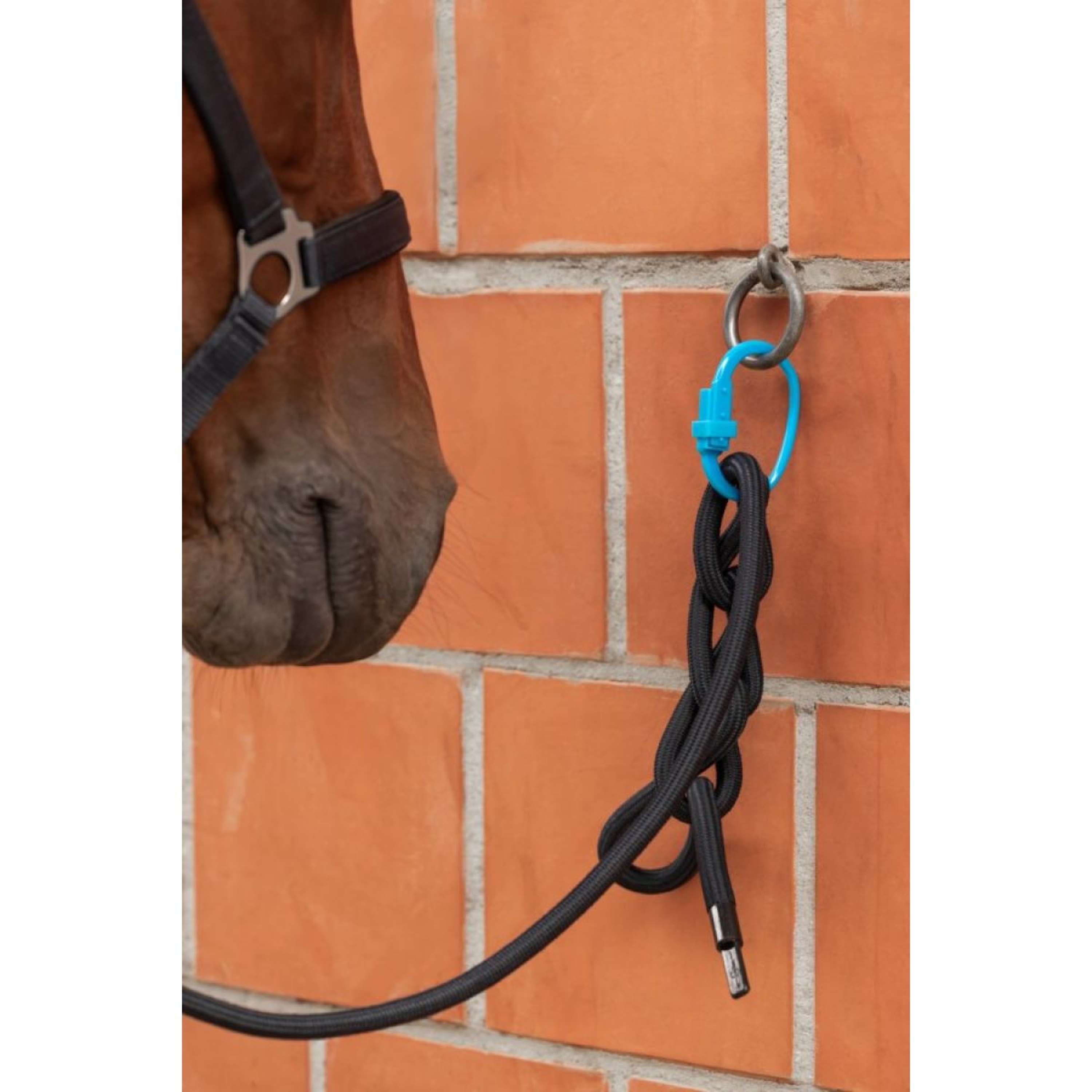 Kerbl Anneau de sécurité Safety Tie-Down Rouge/Noir/Bleu