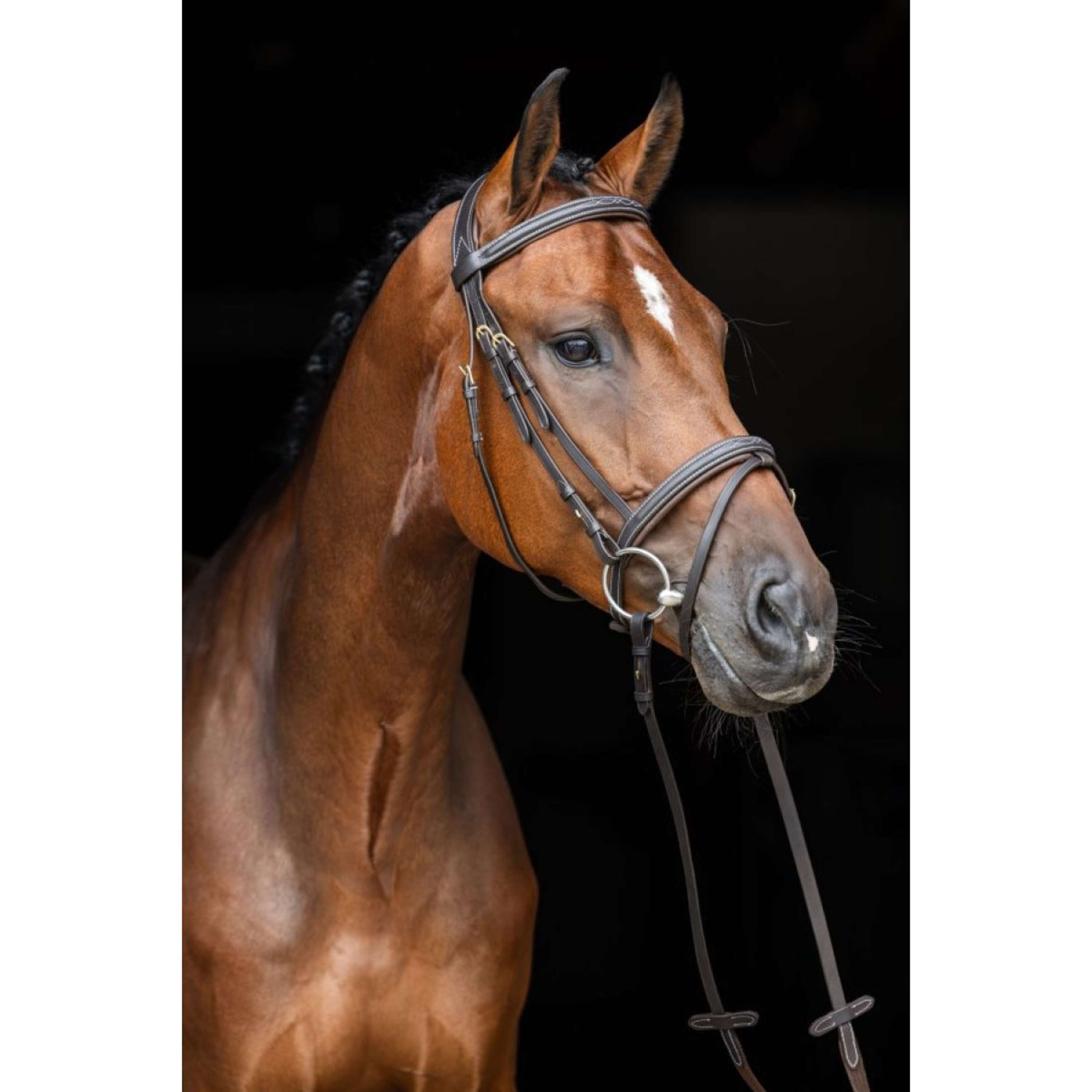Kerbl Bridon classique en cuir Marron classique