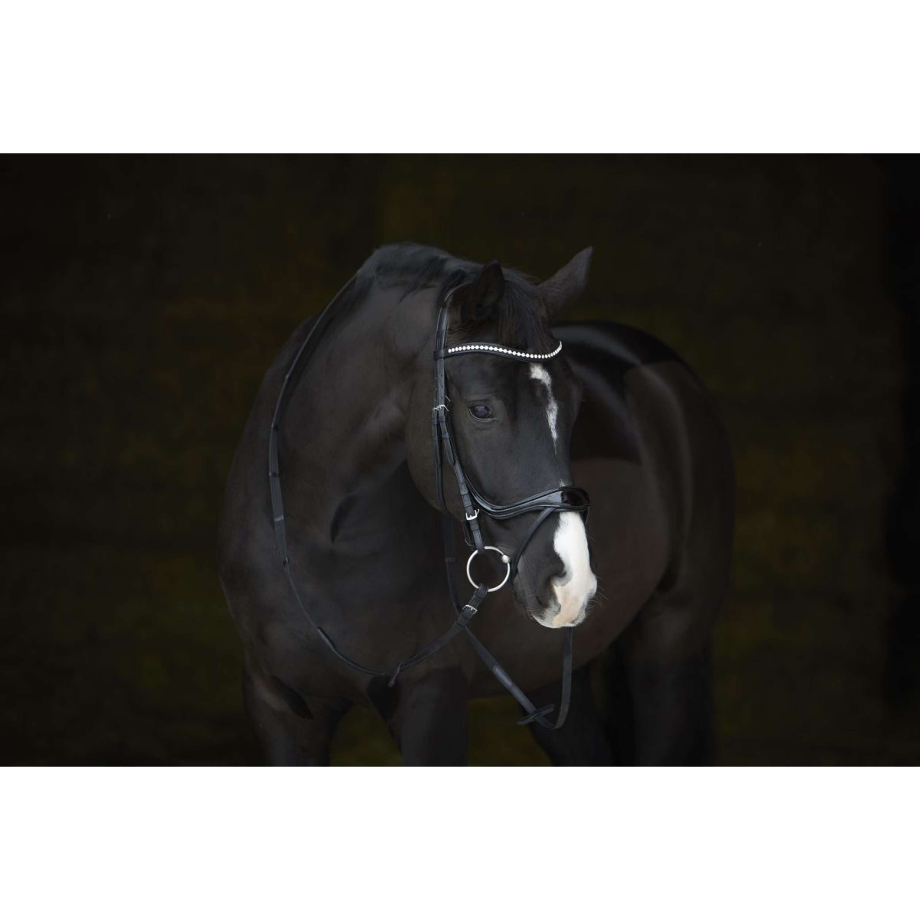 Kieffer Bride Amy Shine Noir