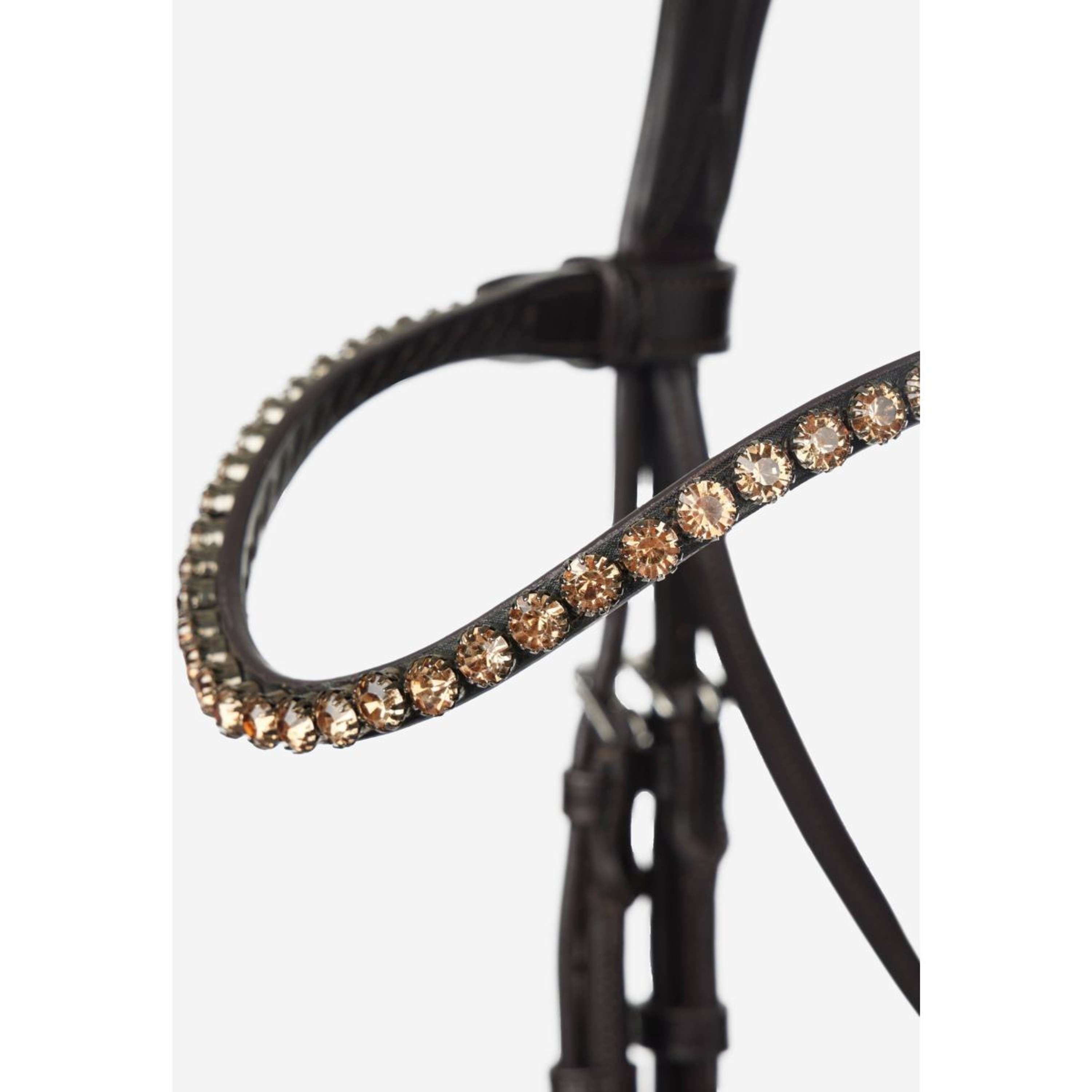 LeMieux Bride Kudos Patent Dressage Marron