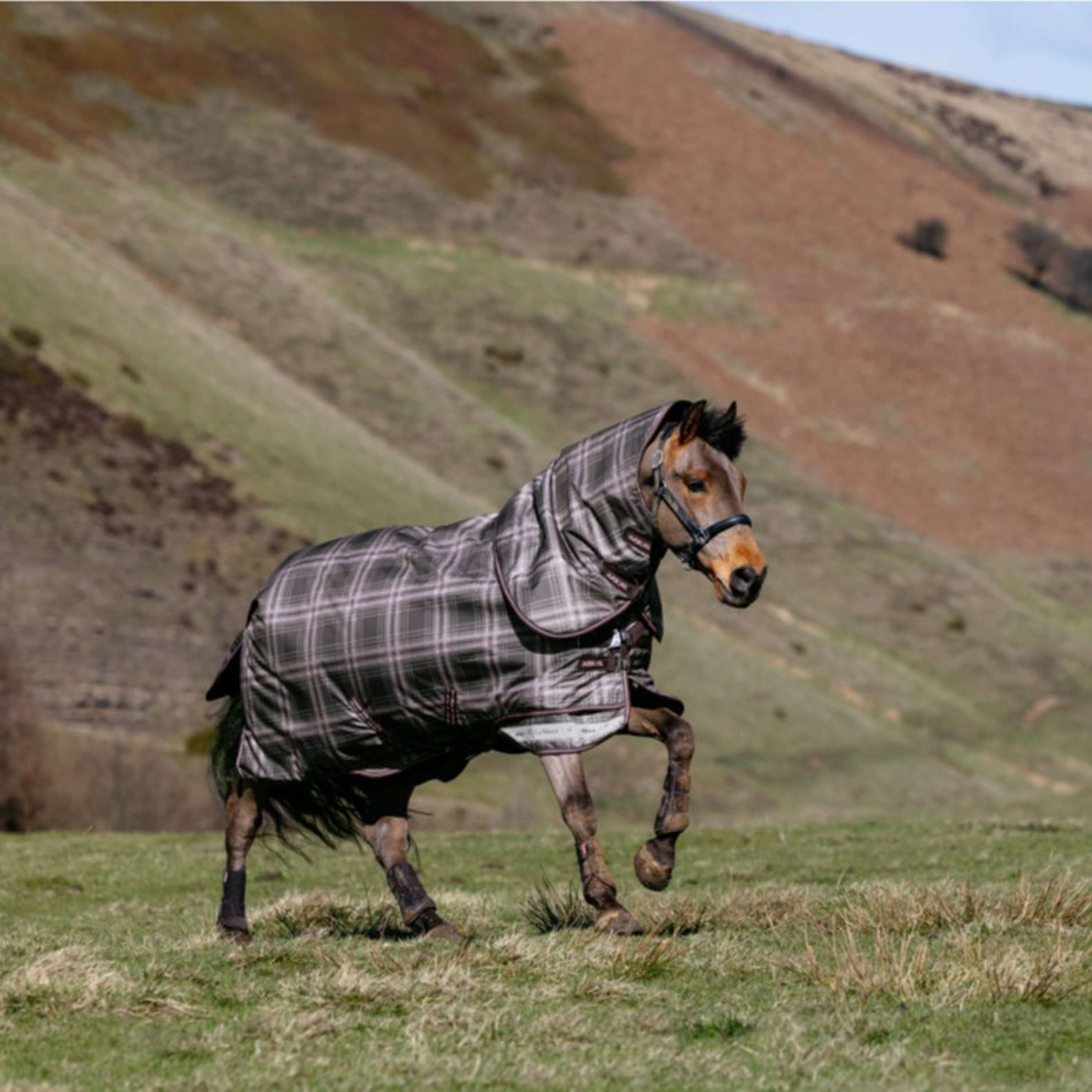 LeMieux Couverture d'Hiver Arika Heritage Check 100g Cocoa