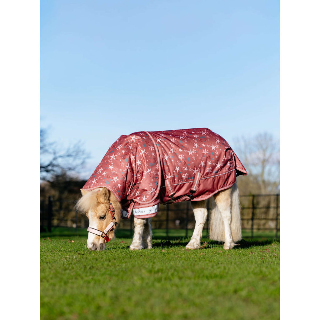 LeMieux Couverture Imperméable Arika Star 0g Spiced Earth