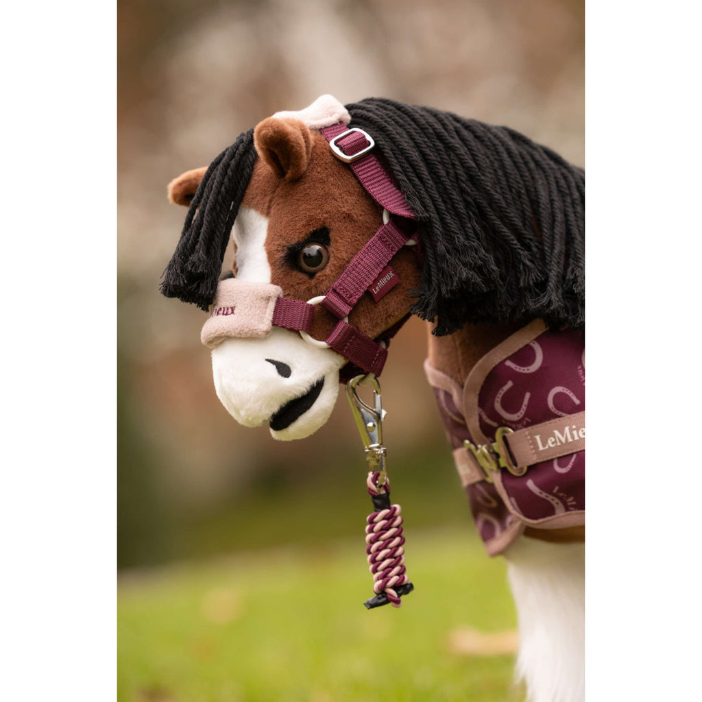 LeMieux Toy Pony Ensemble Licou Blackberry