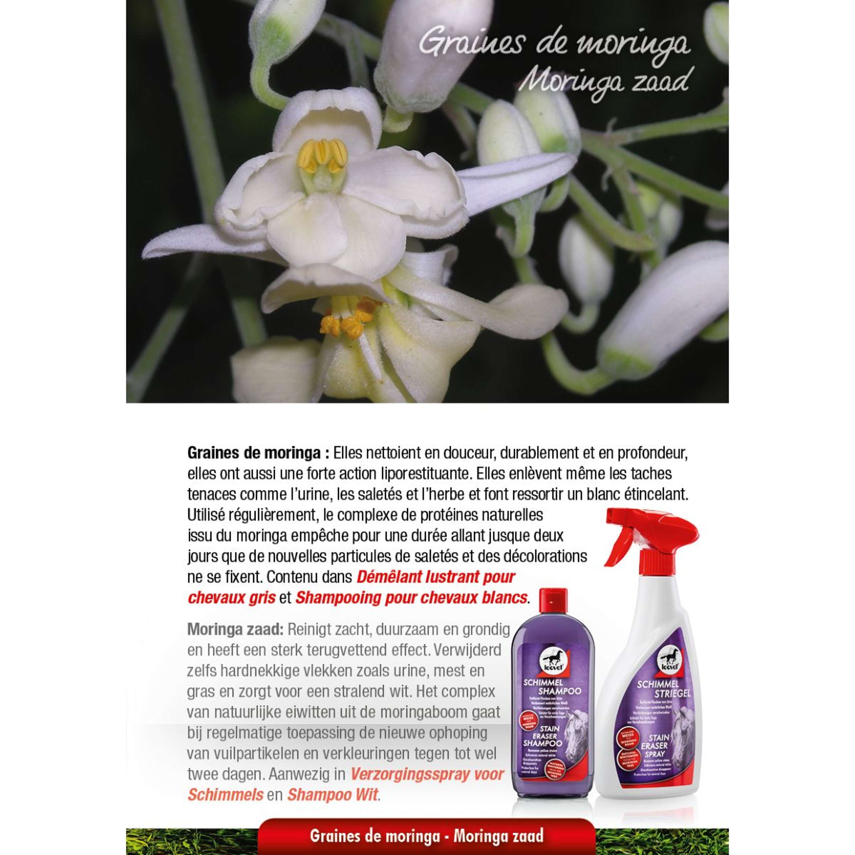 Leovet Shampooing Milton-White