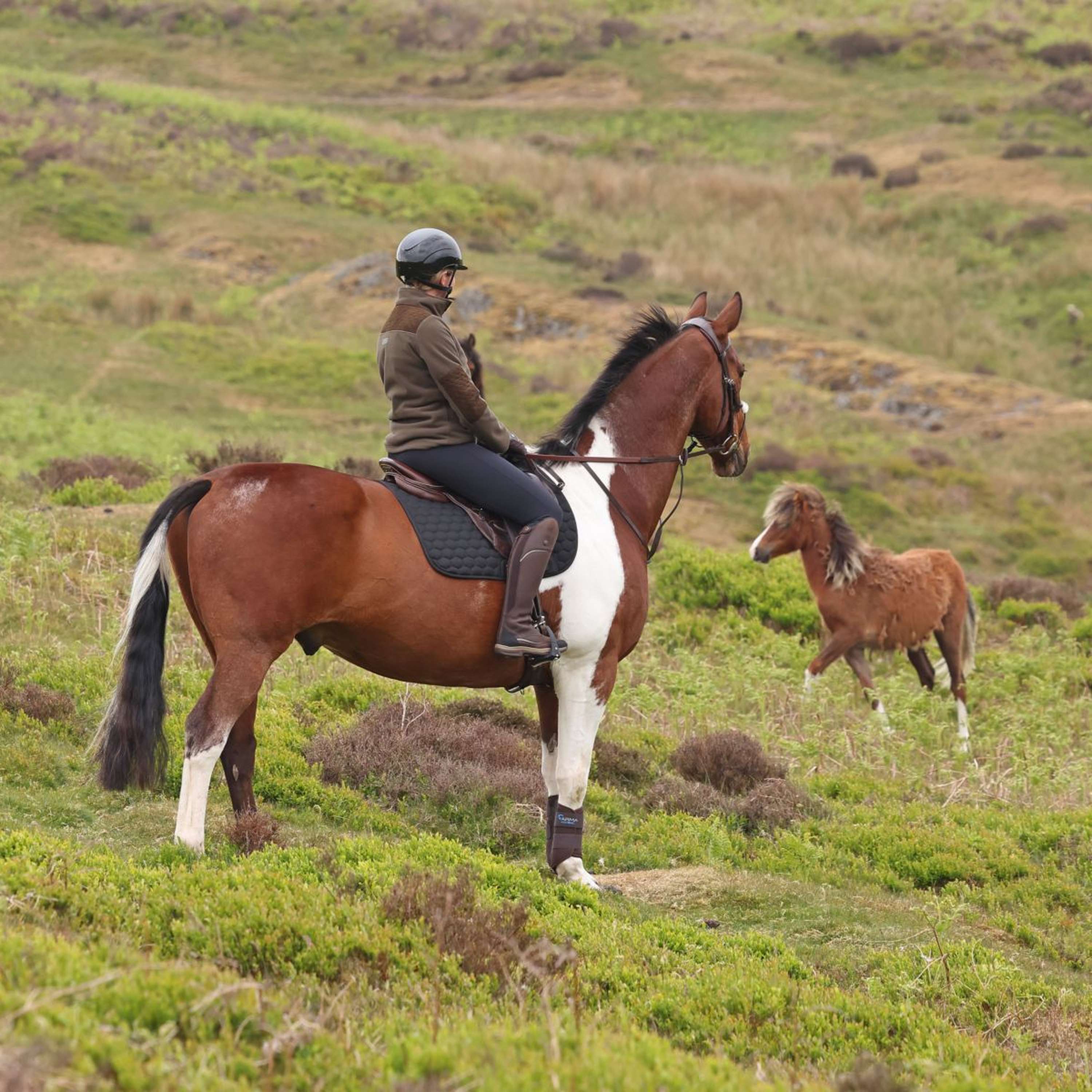 Aubrion by Shires Pull Heritage Fleece Olive foncé
