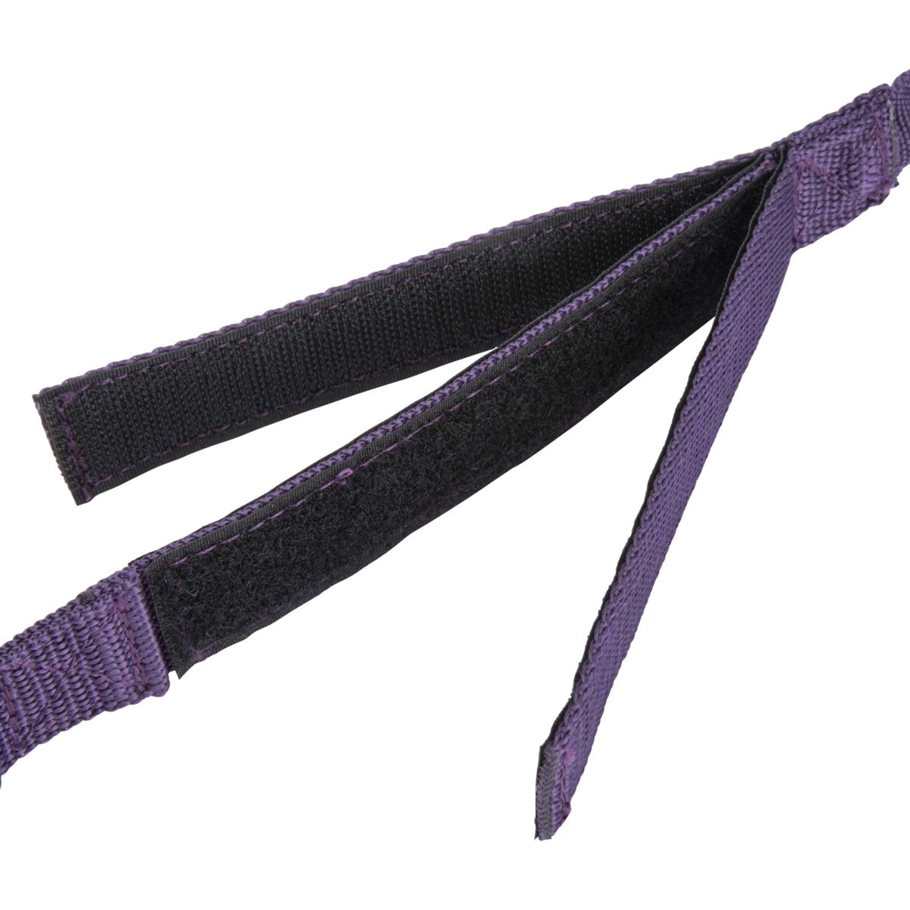Shires Chaîne d'Attache Bungee Breakaway Violet