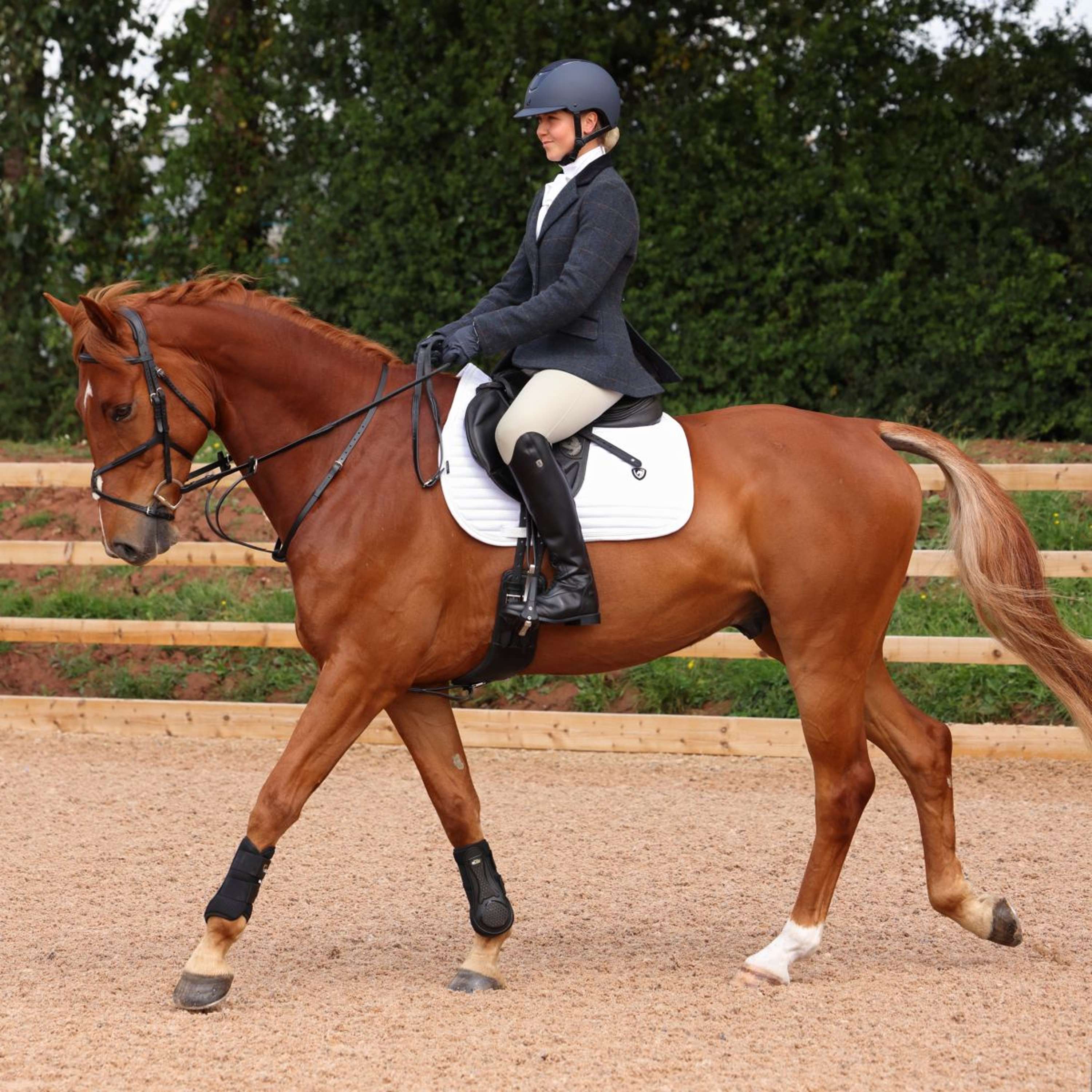 Aubrion by Shires Veste de Concours Saratoga Juniper Navy Check