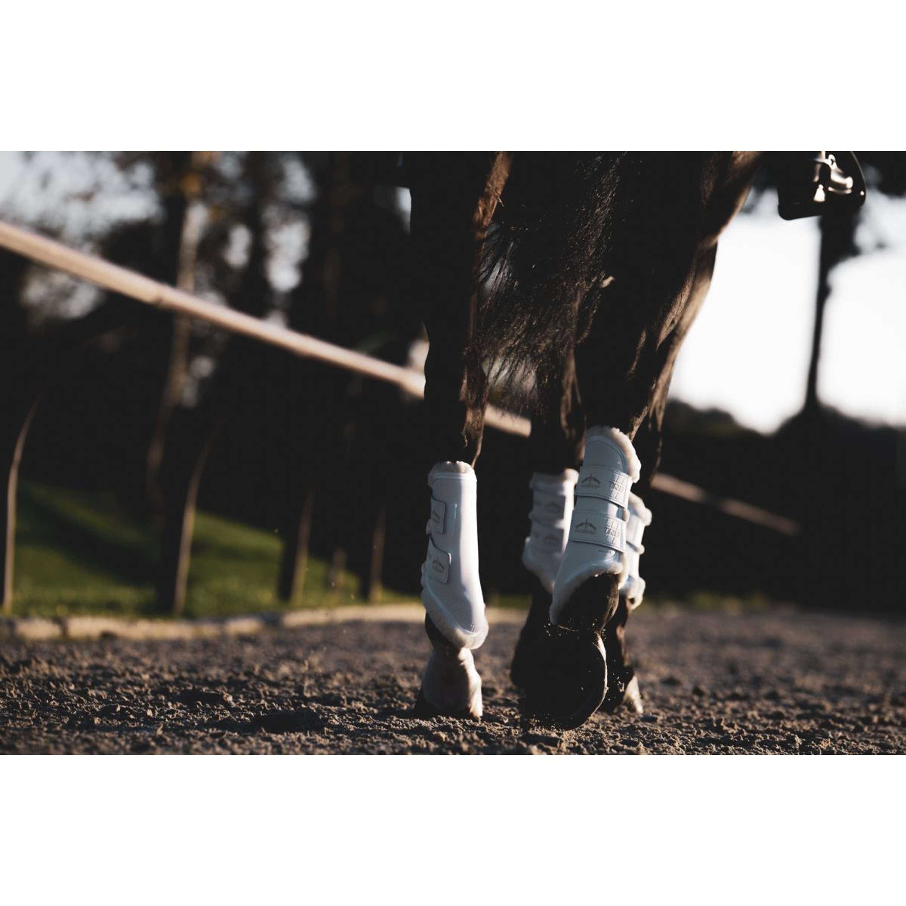 Veredus Guêtres TRB Save the Sheep Rear Blanc