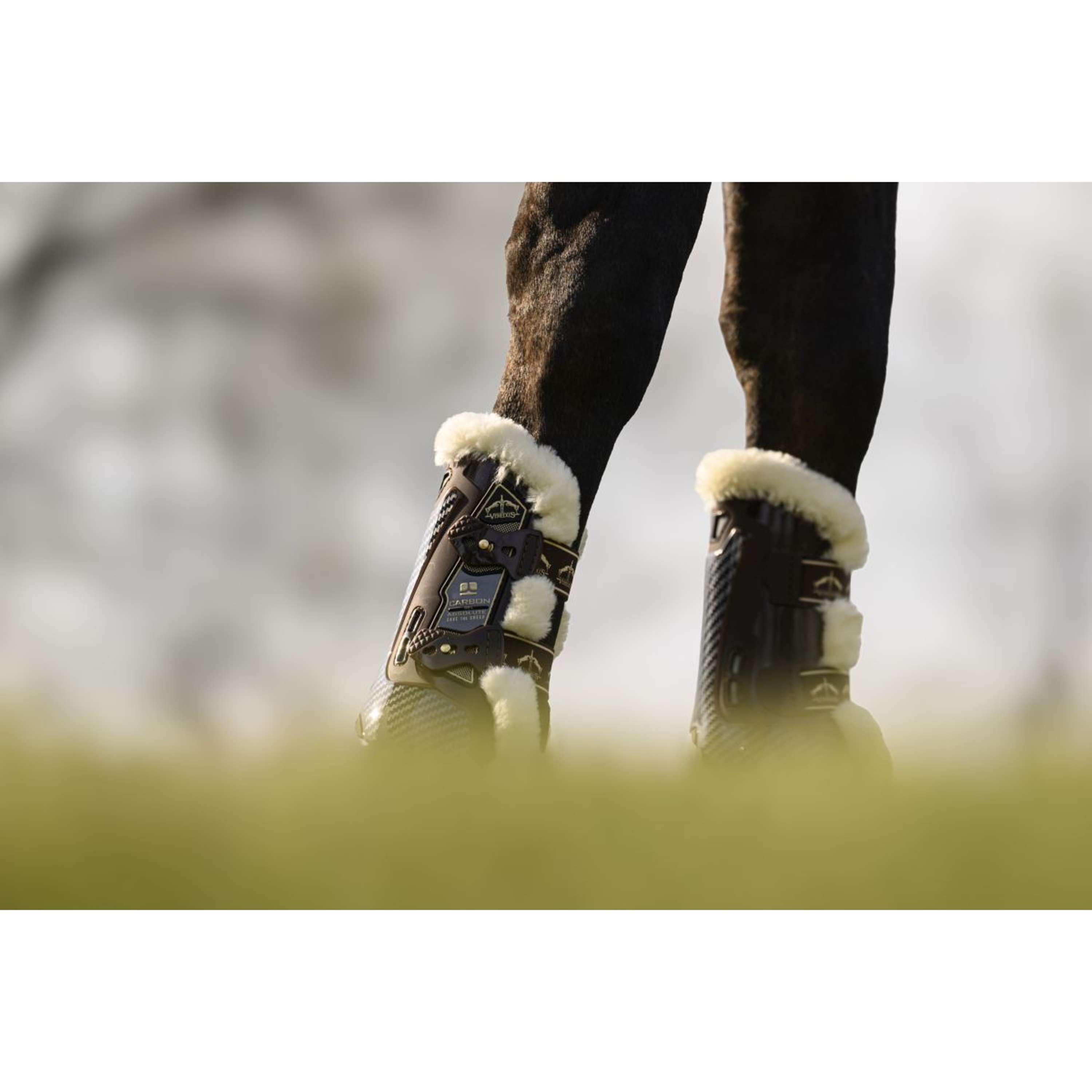 Veredus Protèges-Tendons Carbon Gel Absolute Save the Sheep Front Marron