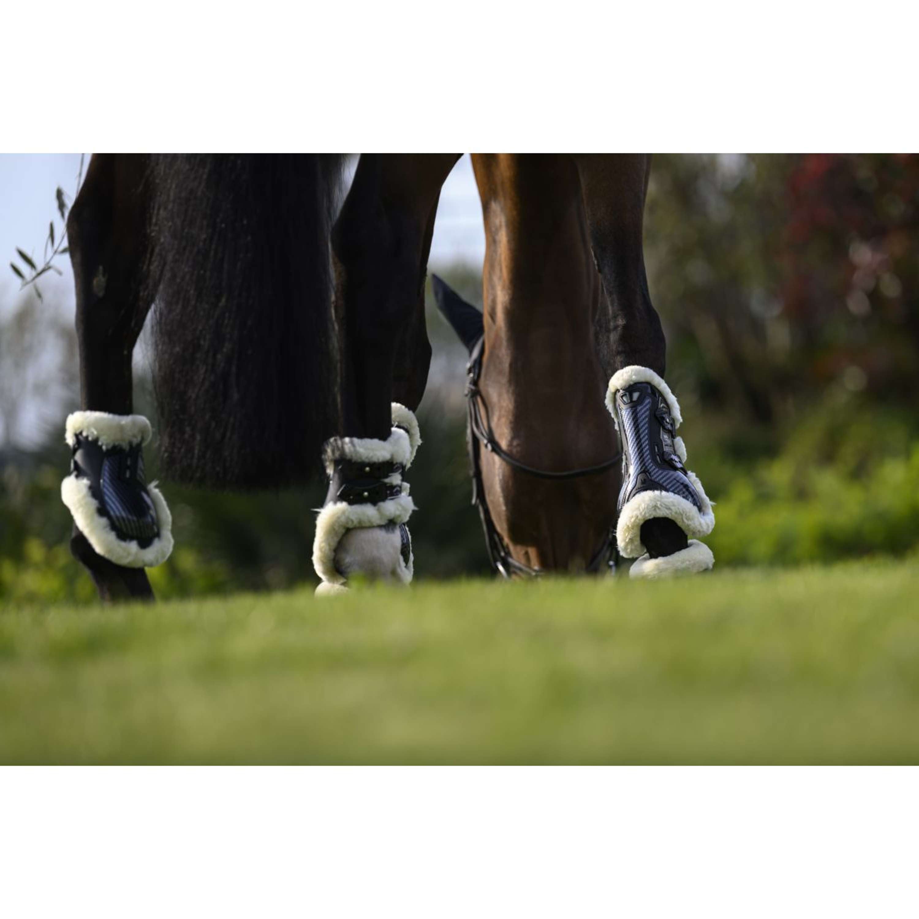 Veredus Protèges-Tendons Carbon Gel Absolute Save the Sheep Front Noir
