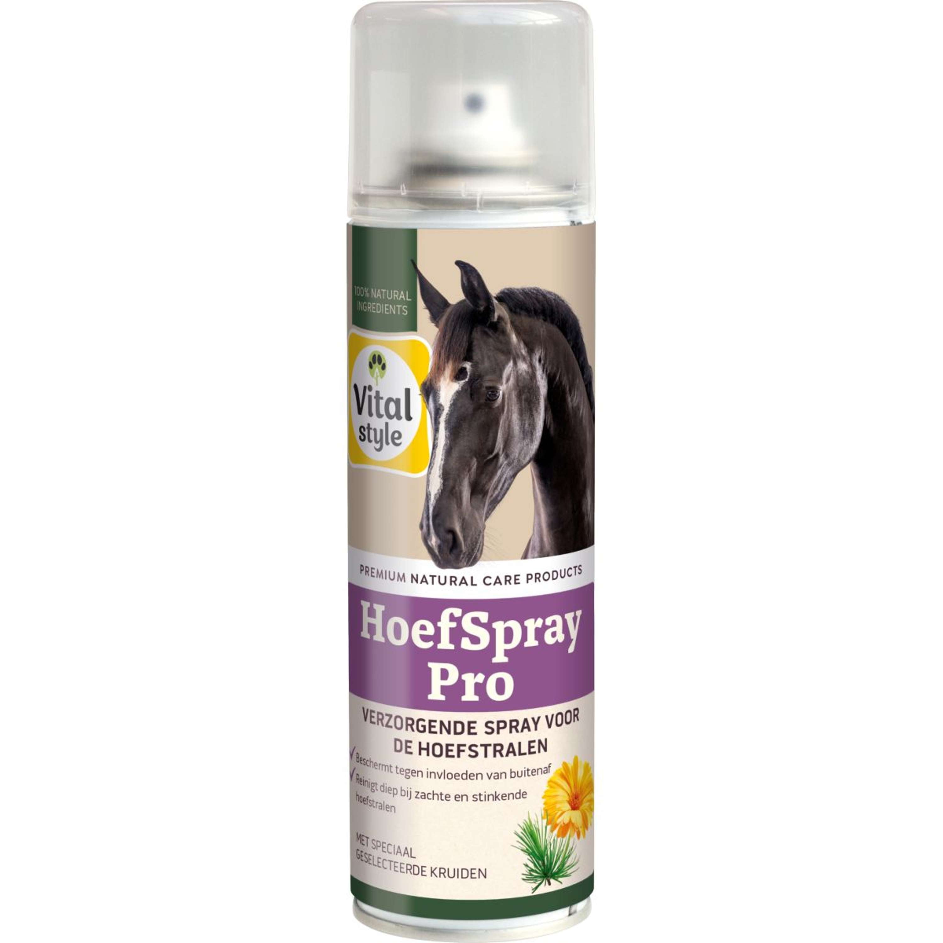 Vitalstyle Spray pour Sabot Pro